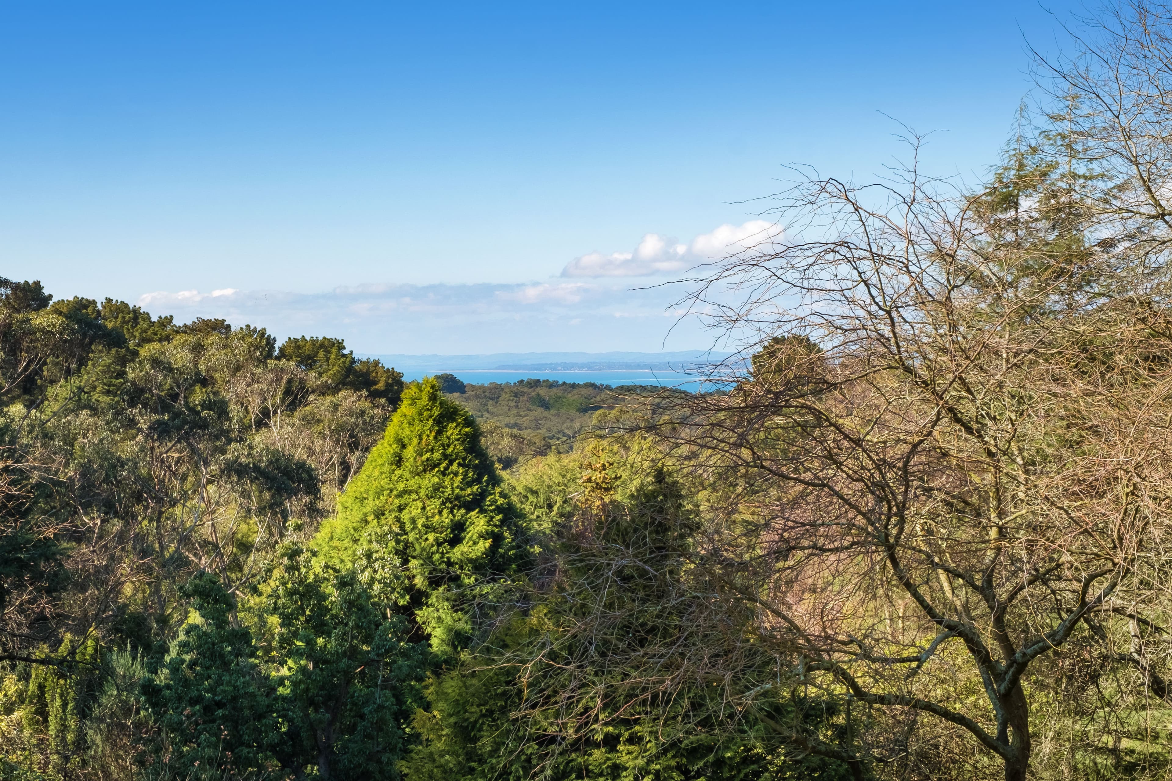 75 Shoreham Road, Red Hill South, Red Hill South - Thumbnail 2