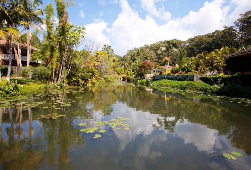 46 James Small Drive, Korora, Korora - Thumbnail 2