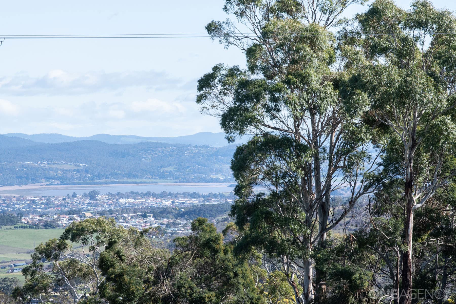 11 Escarpment Drive, St Leonards, St Leonards - Thumbnail 4