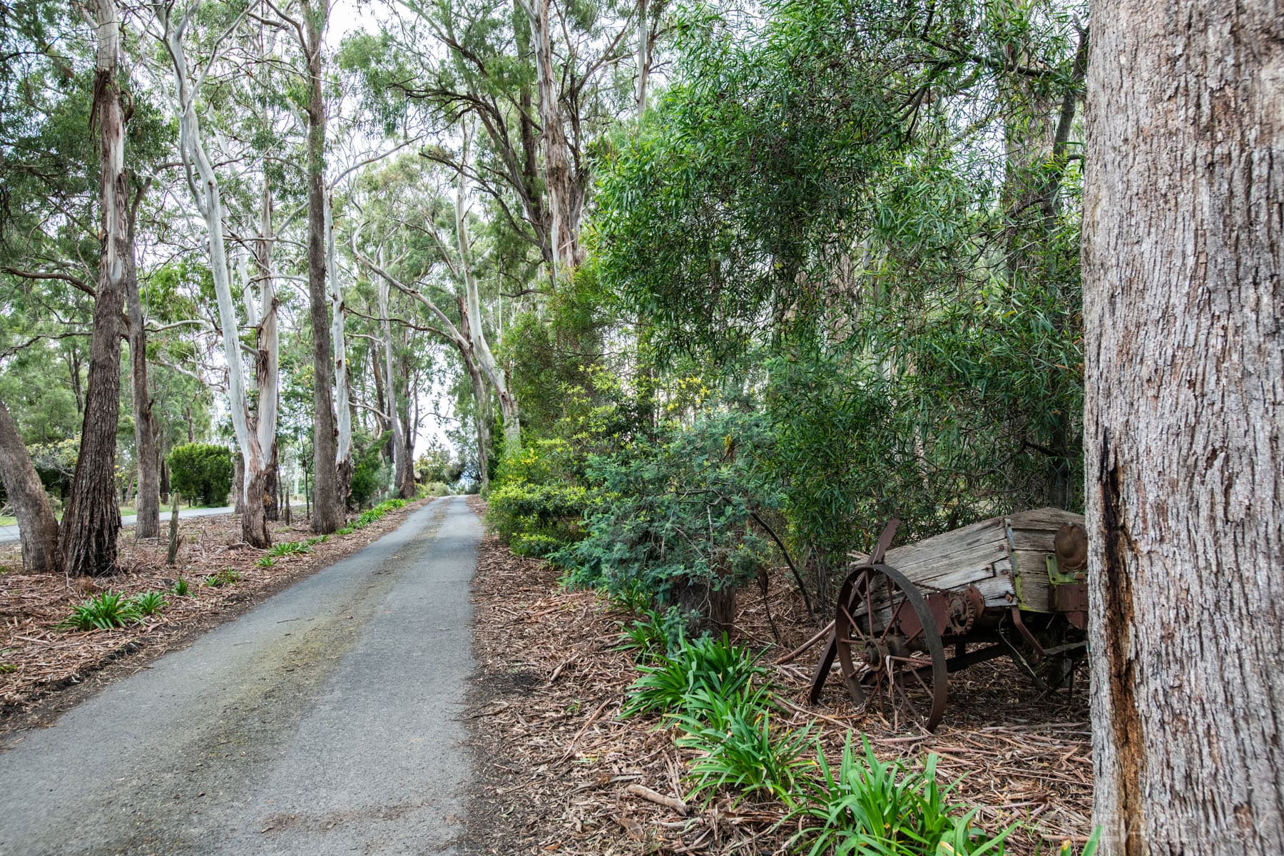 276 Glenwood Road, Relbia, Relbia - Thumbnail 2