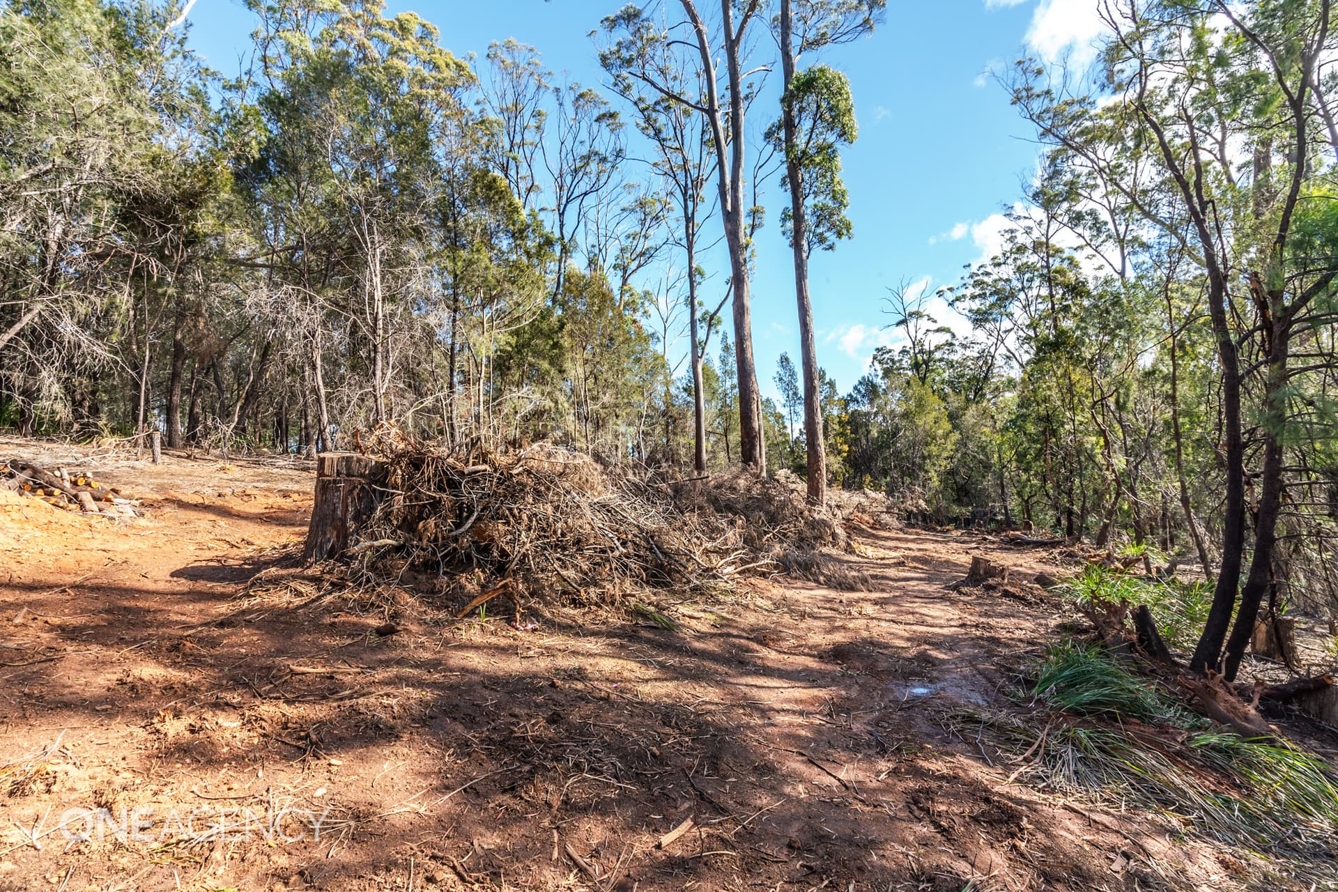 36 Victor Street North, Latrobe, Latrobe - Thumbnail 2