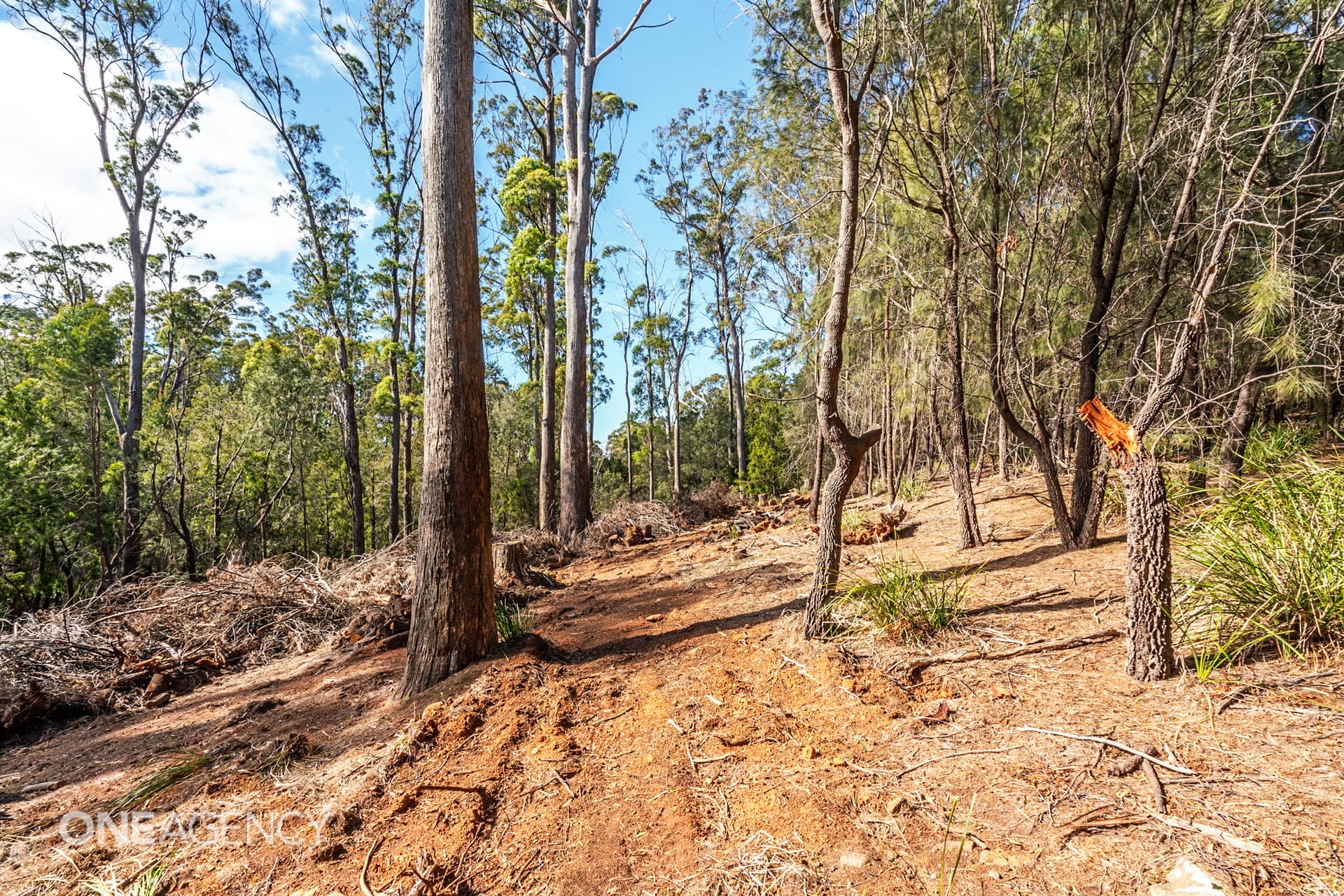 36 Victor Street North, Latrobe, Latrobe - Thumbnail 4