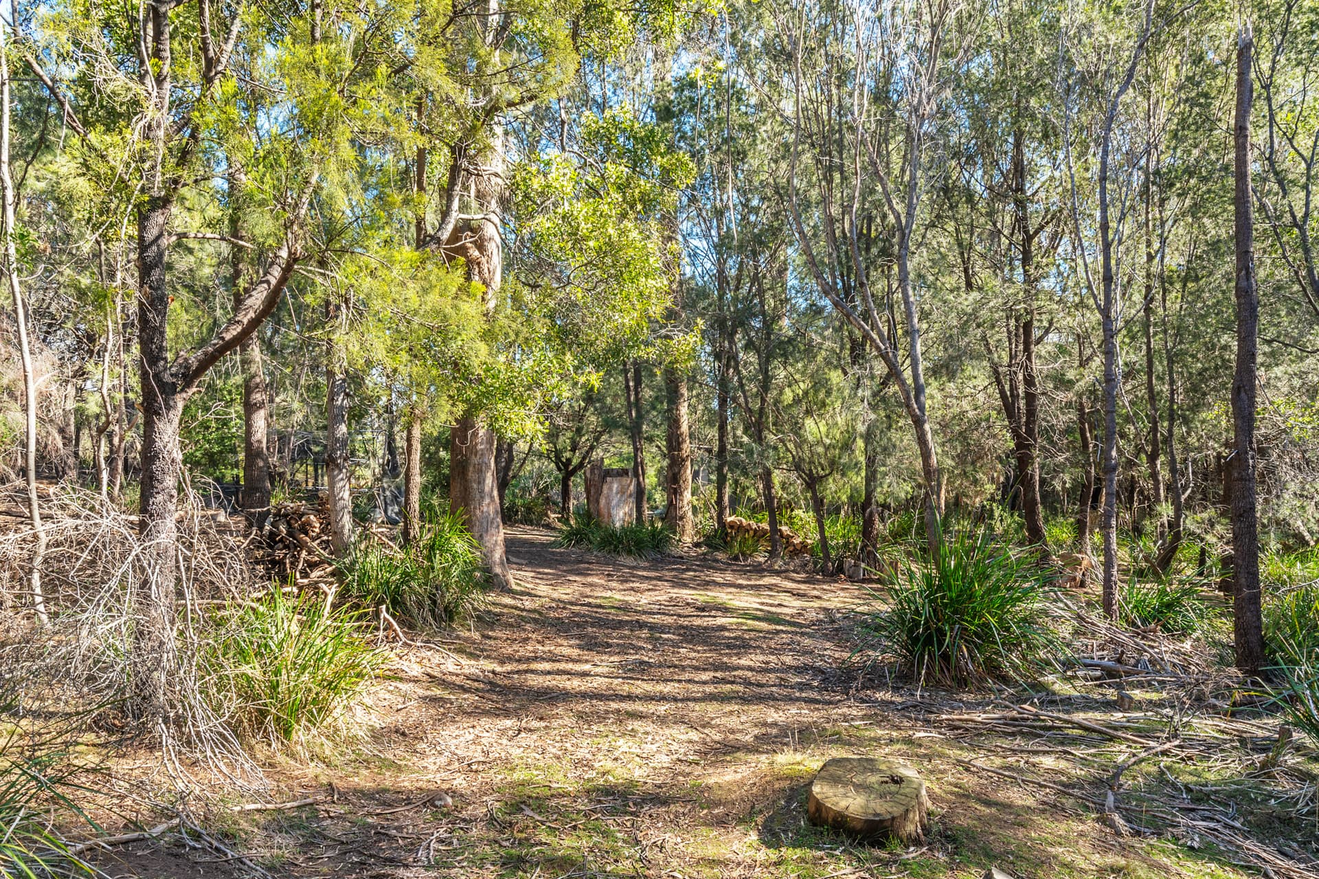 36 Victor Street North, Latrobe, Latrobe - Thumbnail 5