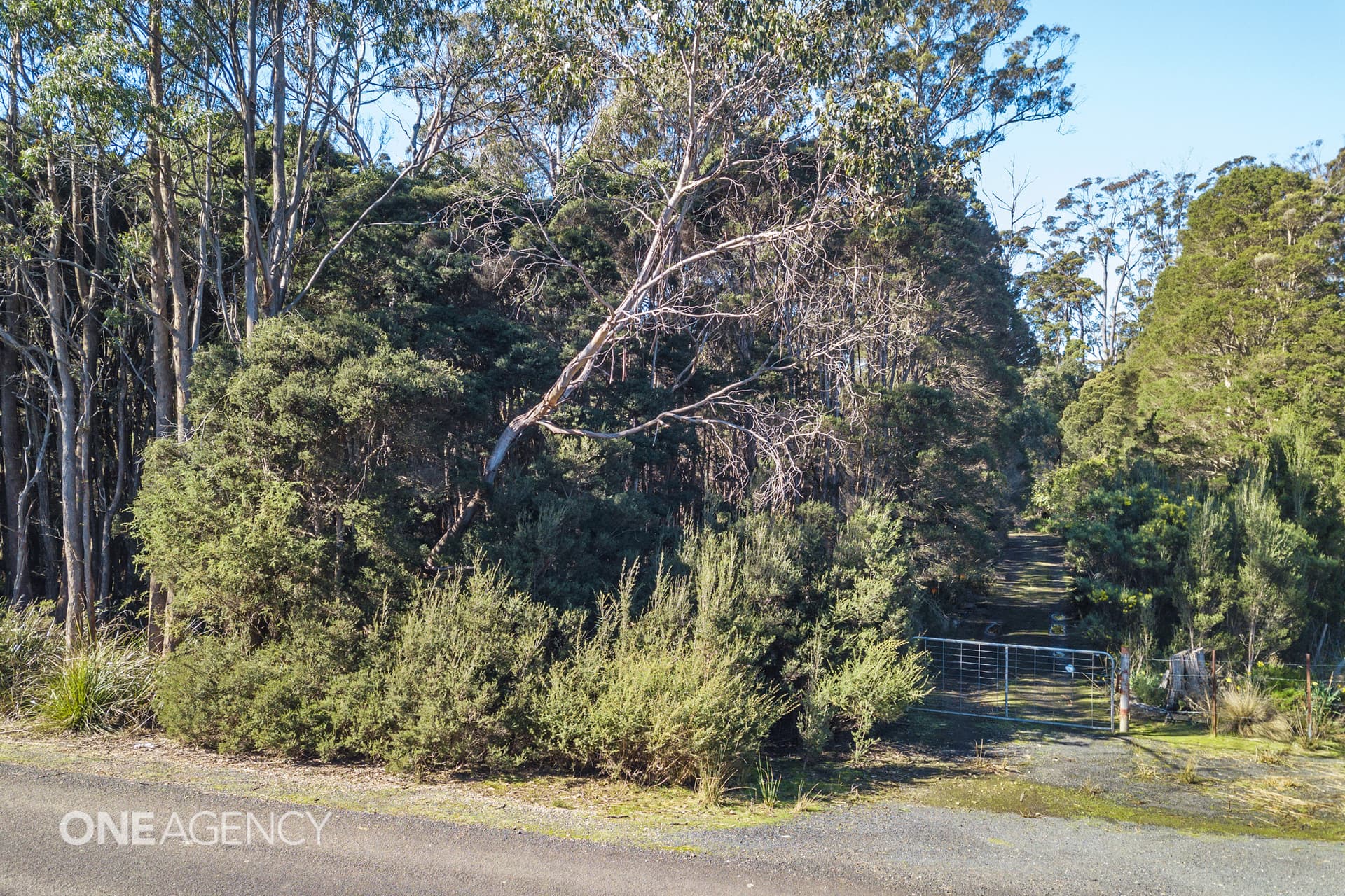 36 Victor Street North, Latrobe, Latrobe - Thumbnail 7