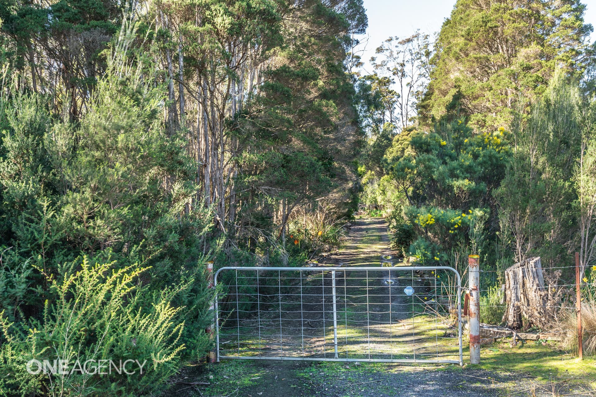 36 Victor Street North, Latrobe, Latrobe - Image 1