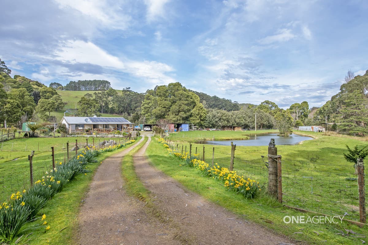 40 McPherson Road, Edith Creek, Edith Creek - Thumbnail 4