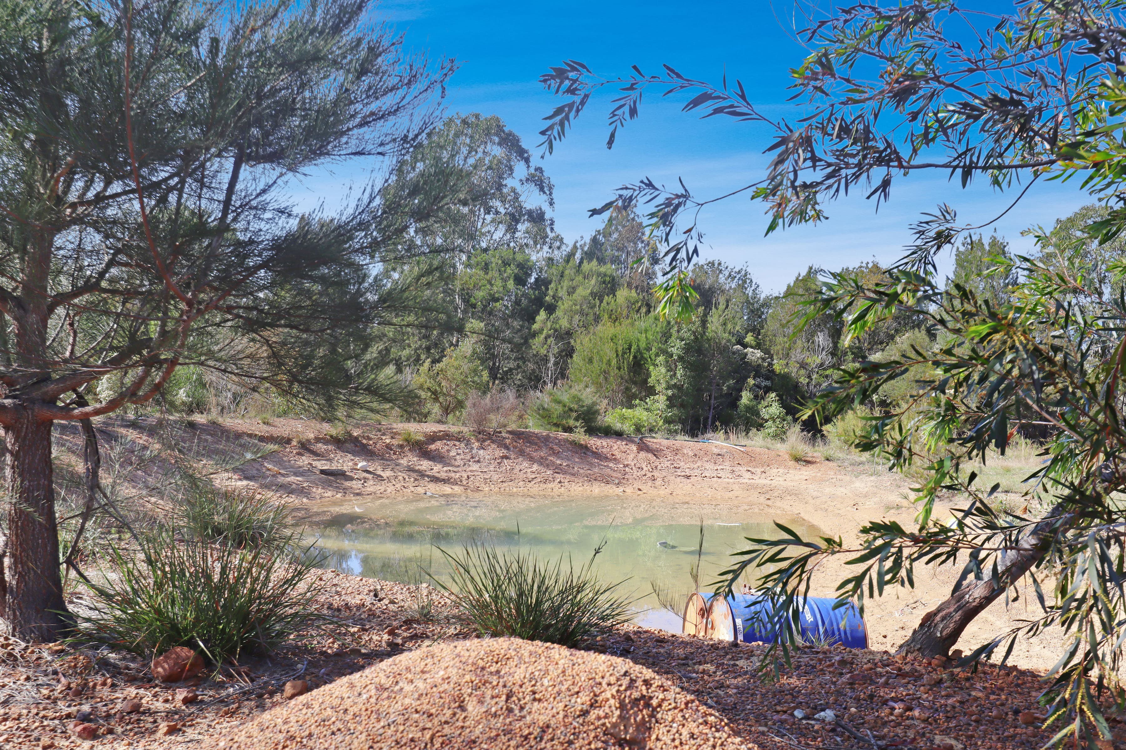 54 Perch Road, Wells Crossing, Wells Crossing - Thumbnail 2