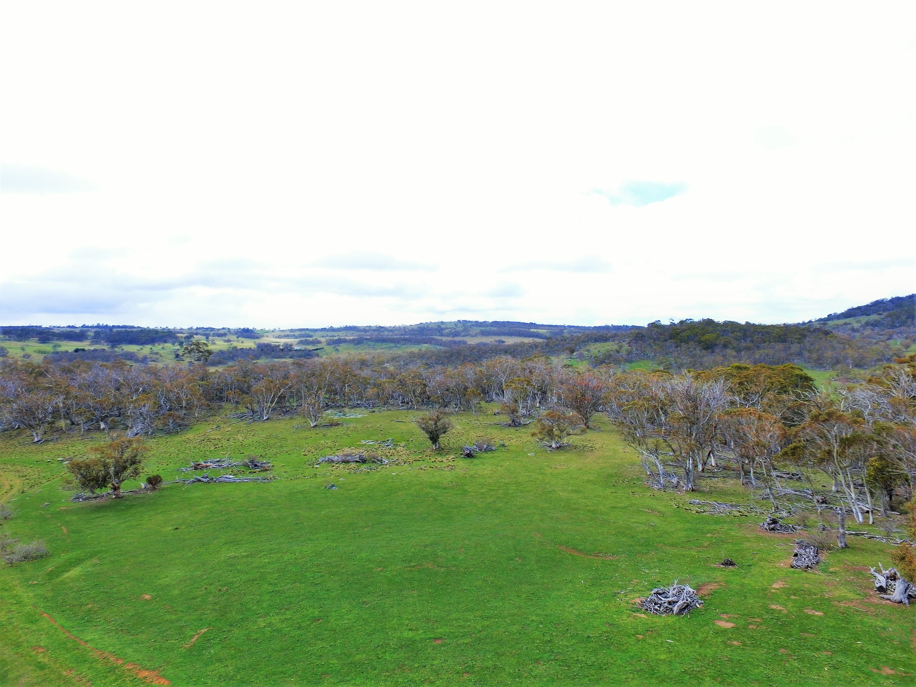 Lot/6 Wainui Road, Buckenderra, Buckenderra - Thumbnail 4