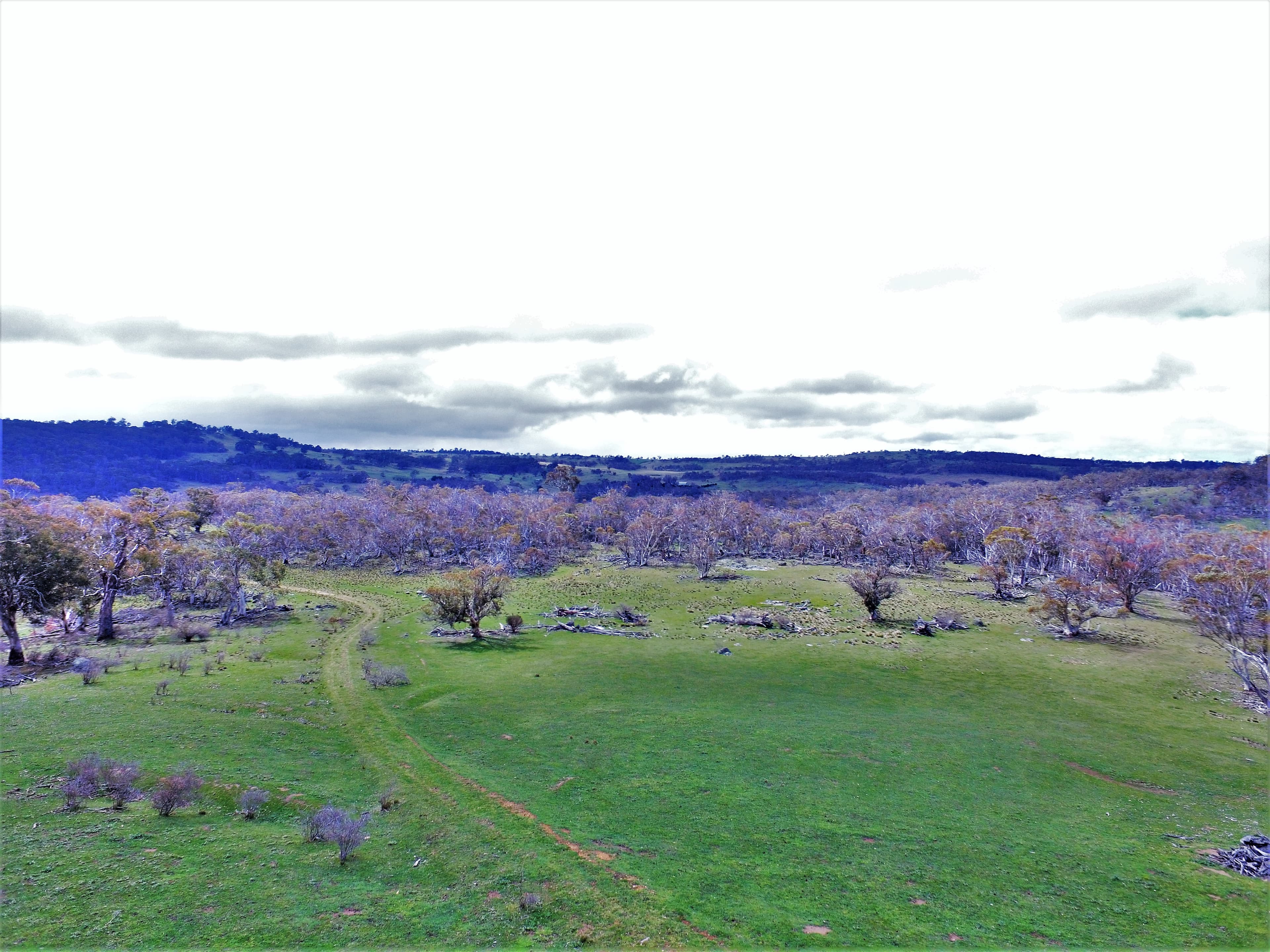 Lot/6 Wainui Road, Buckenderra, Buckenderra - Thumbnail 5