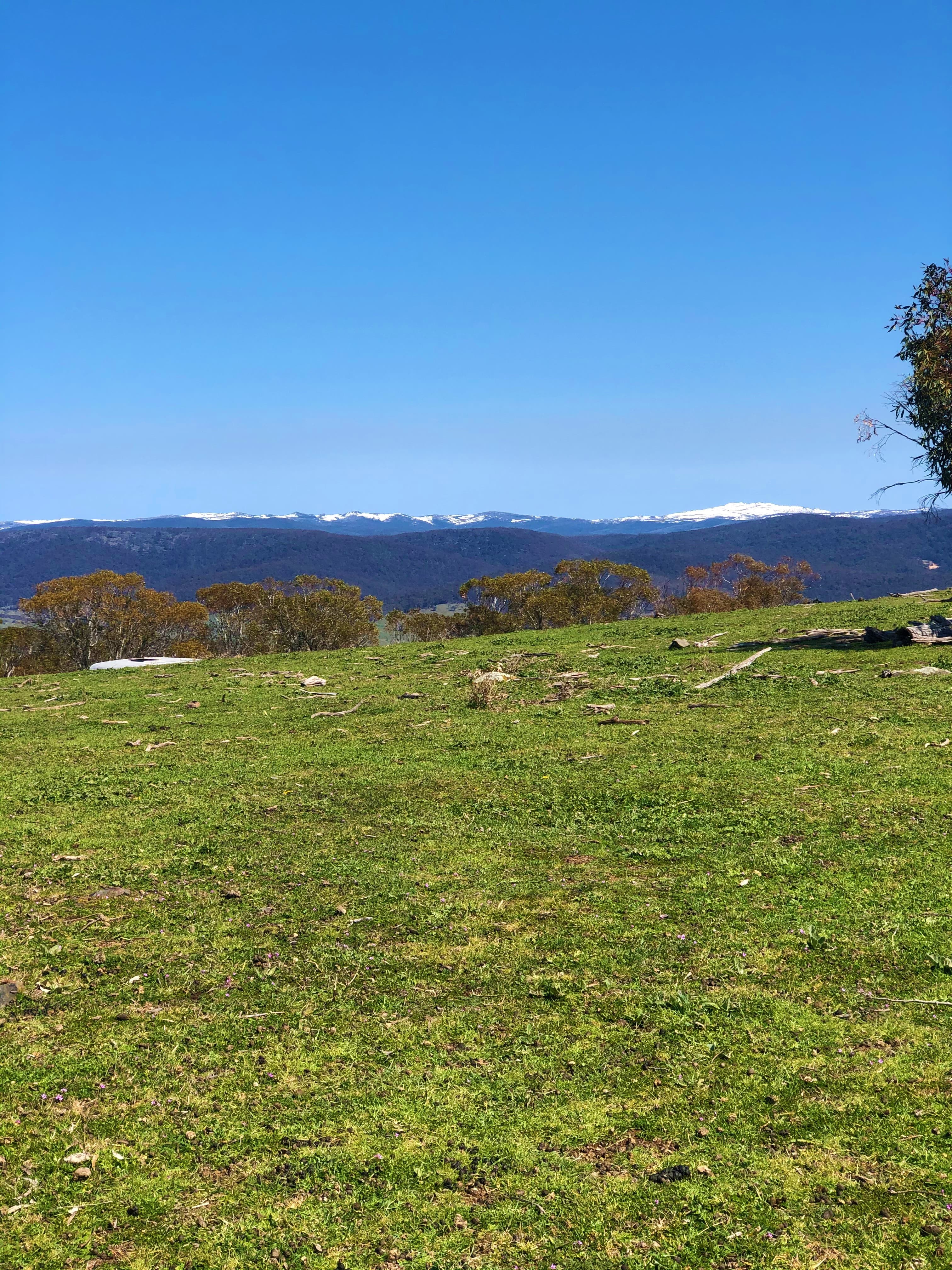 Lot/6 Wainui Road, Buckenderra, Buckenderra - Image 1