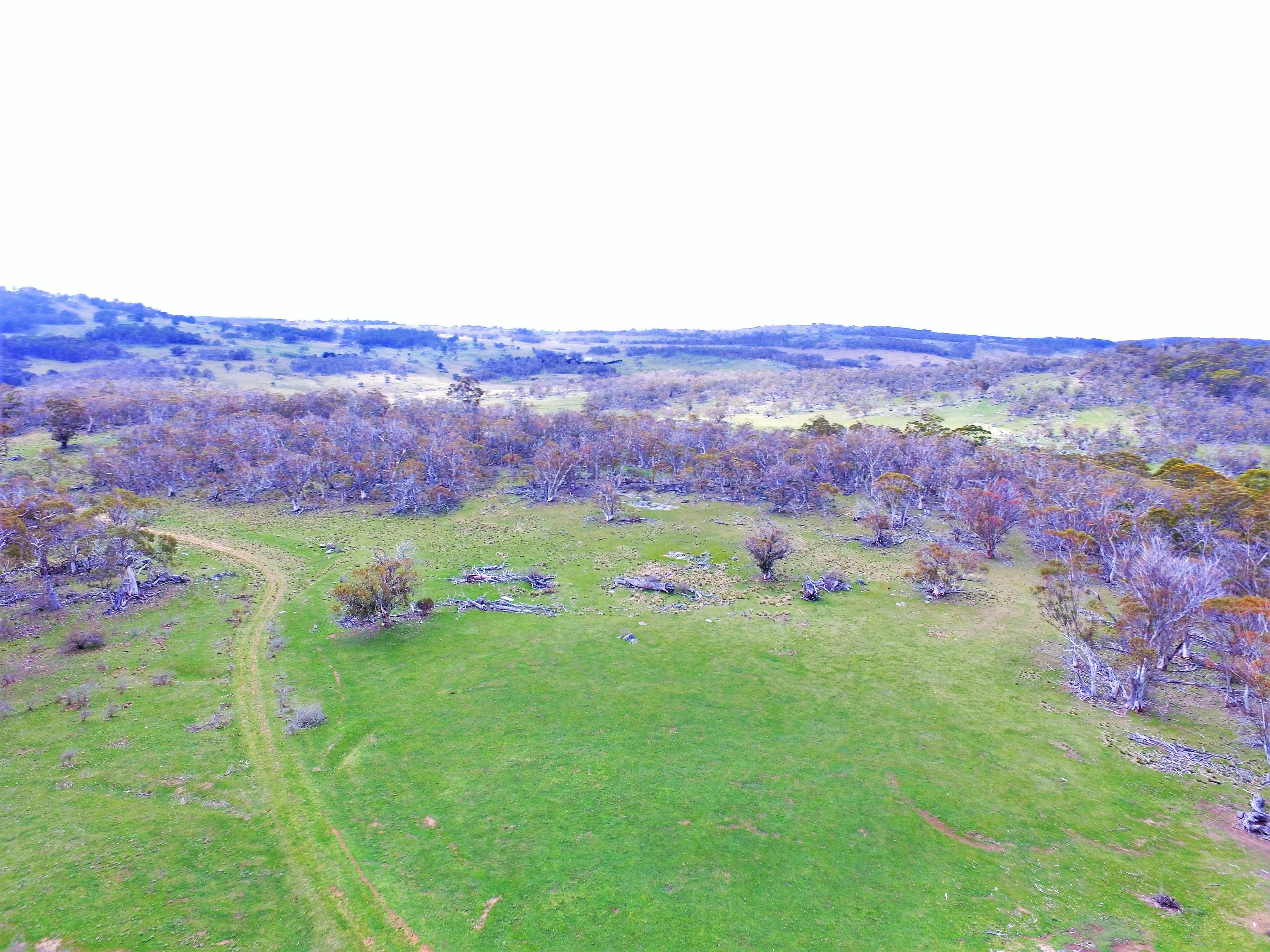 Lot/6 Wainui Road, Buckenderra, Buckenderra - Thumbnail 6