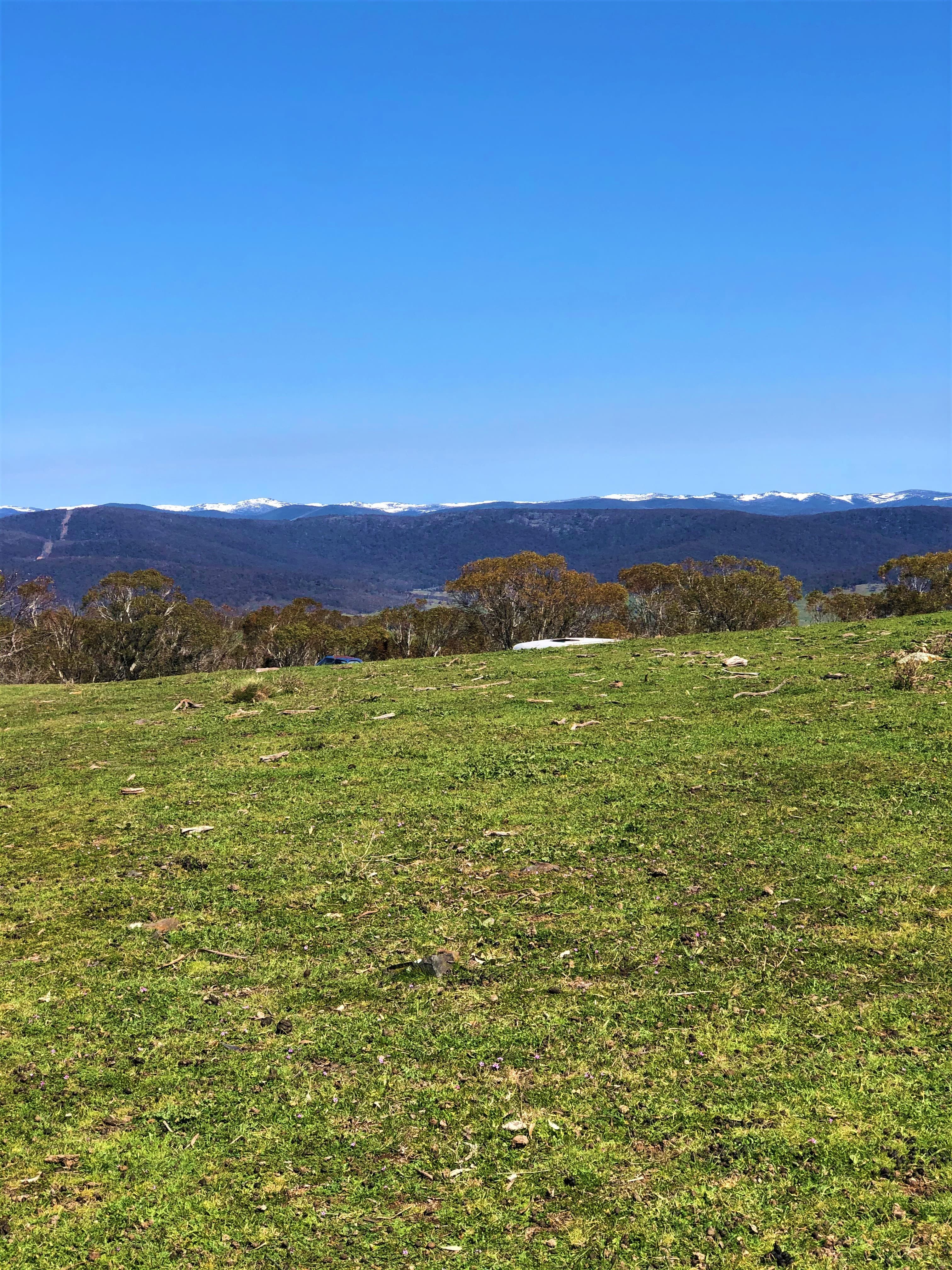 Lot/6 Wainui Road, Buckenderra, Buckenderra - Thumbnail 3