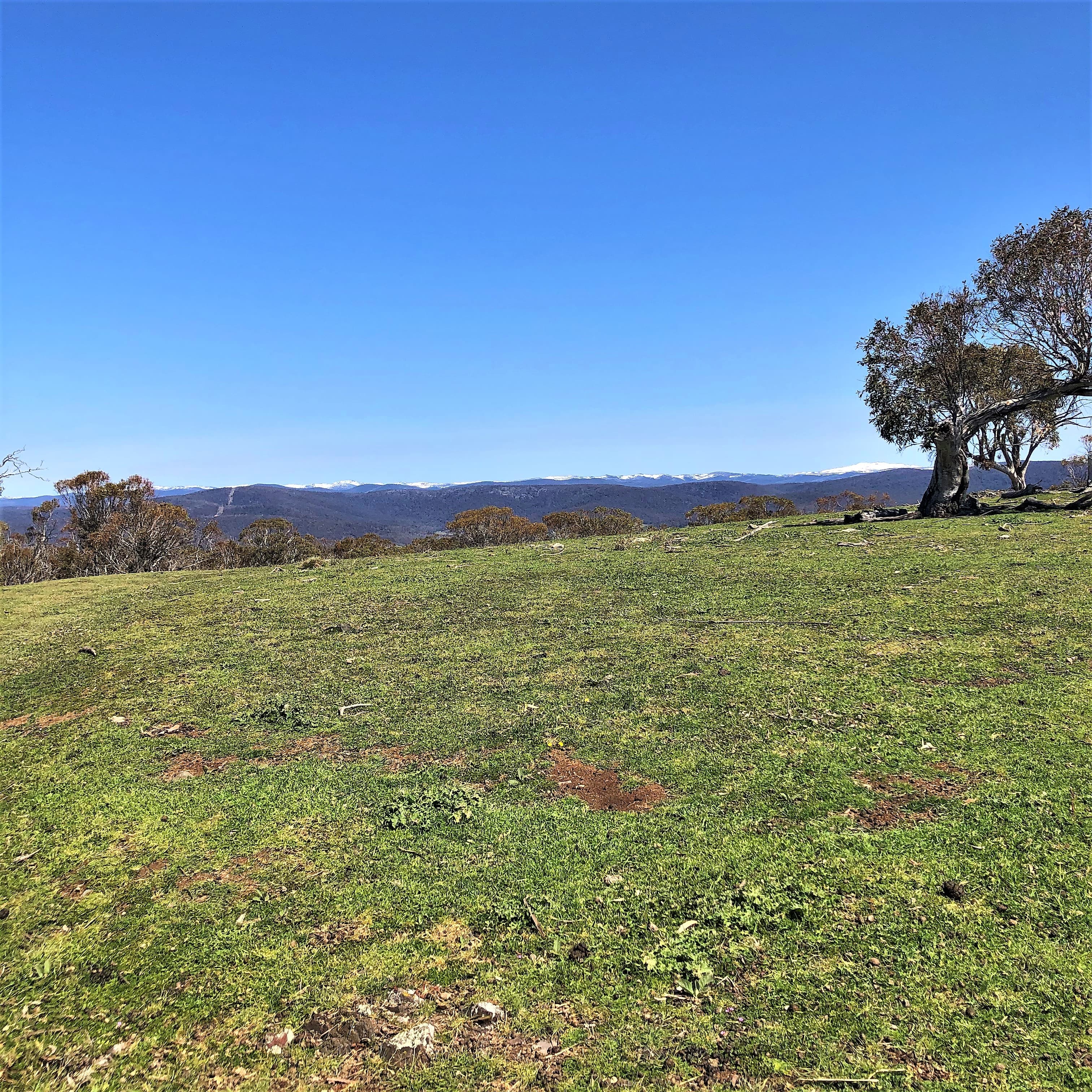 Lot/6 Wainui Road, Buckenderra, Buckenderra - Thumbnail 2