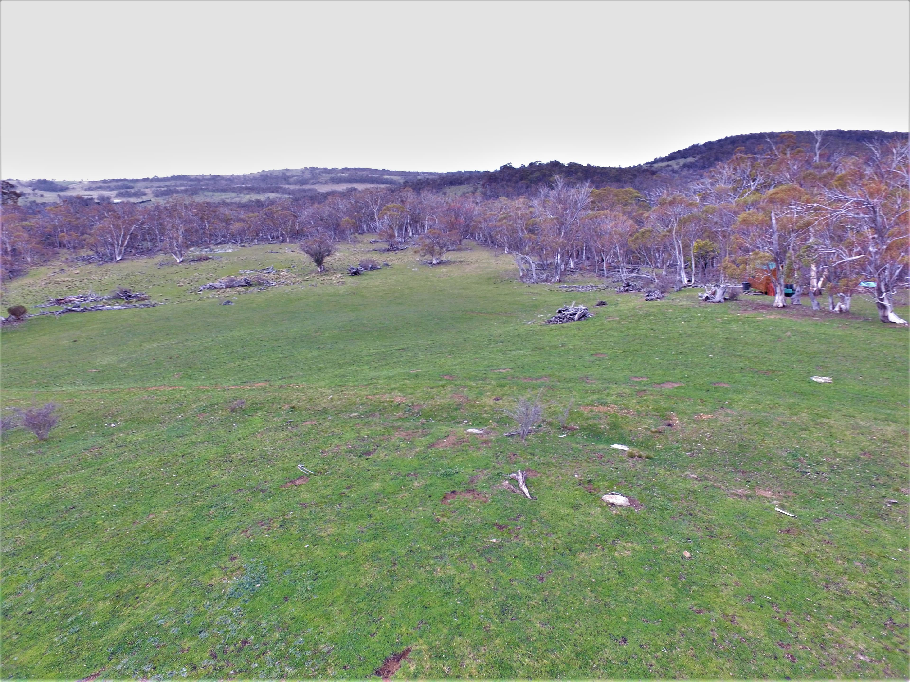Lot/6 Wainui Road, Buckenderra, Buckenderra - Thumbnail 8