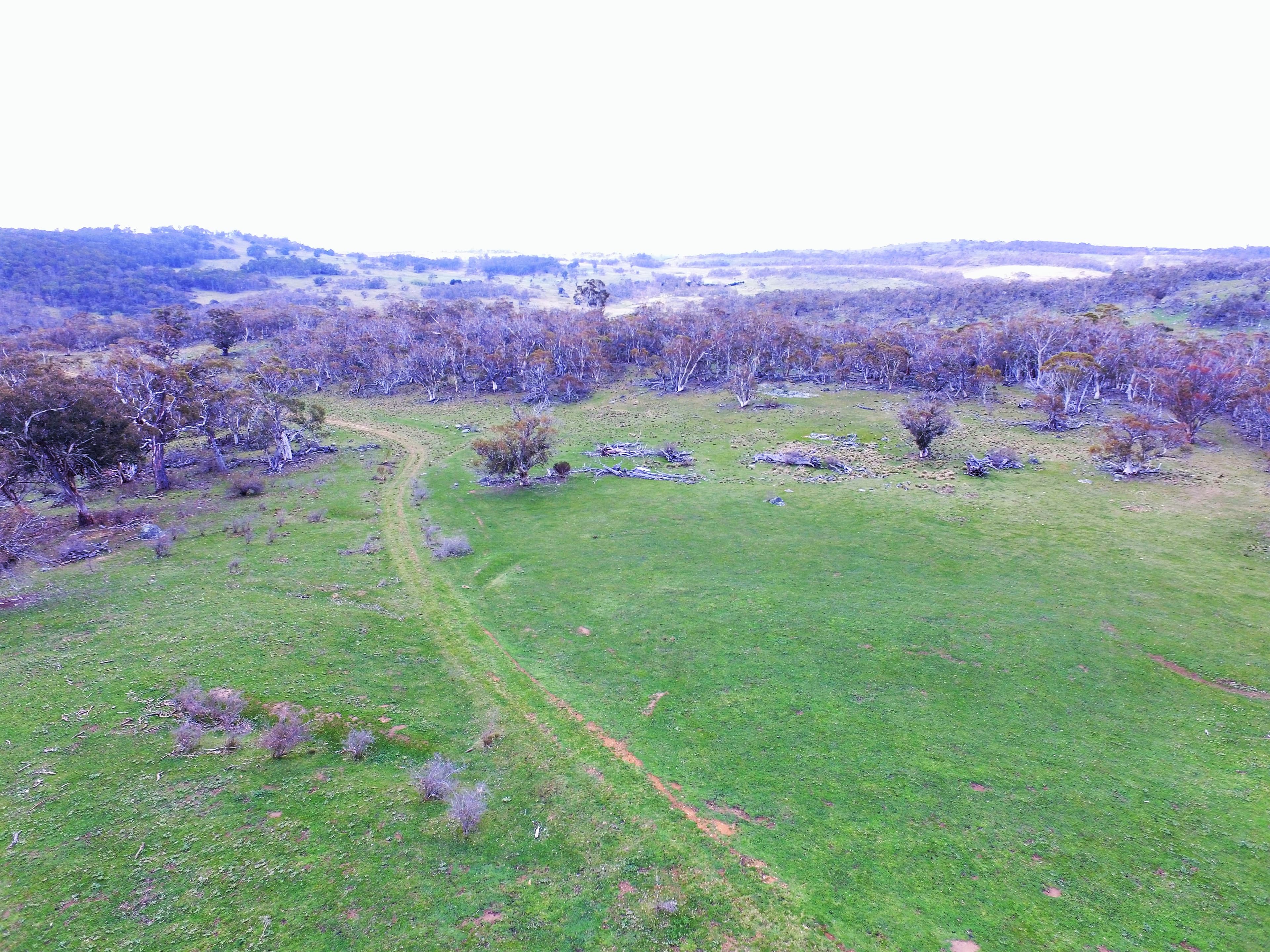 Lot/6 Wainui Road, Buckenderra, Buckenderra - Thumbnail 7