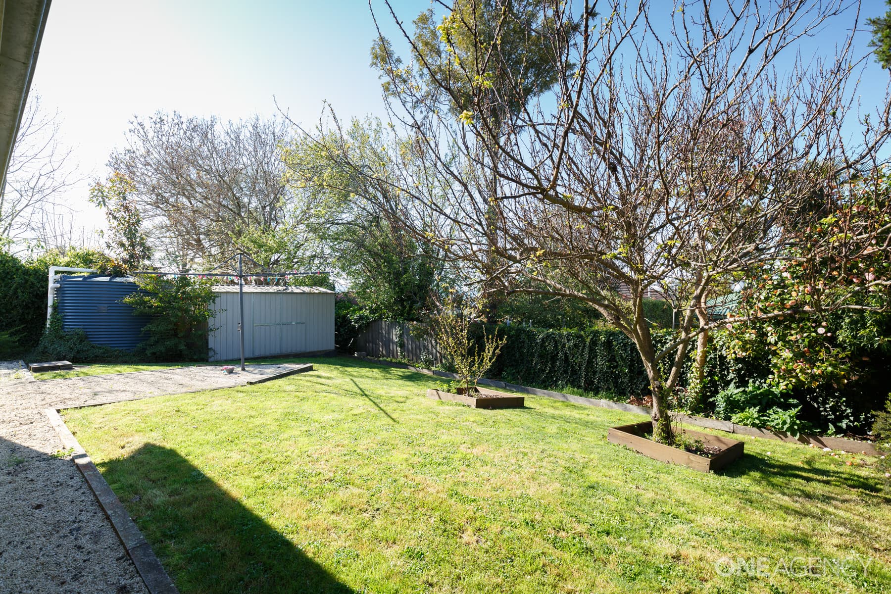 59a Bald Hill Road, Trevallyn, Trevallyn - Thumbnail 8
