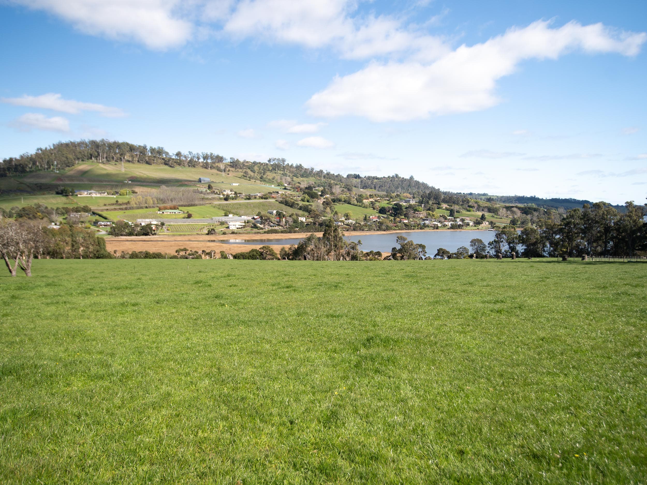 Lot 35, 49-59 Ridge Road, 49-59 Ridge Road - Thumbnail 4