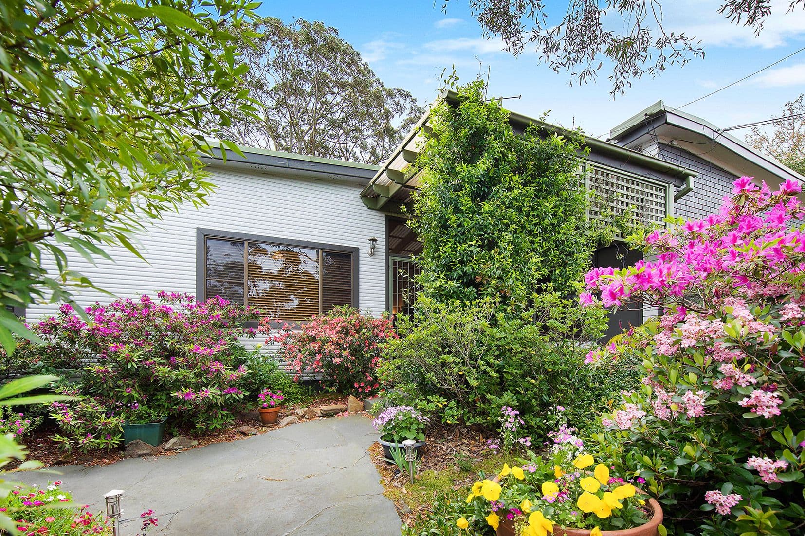 2D Bellbird Crescent, Forestville, Forestville - Thumbnail 3