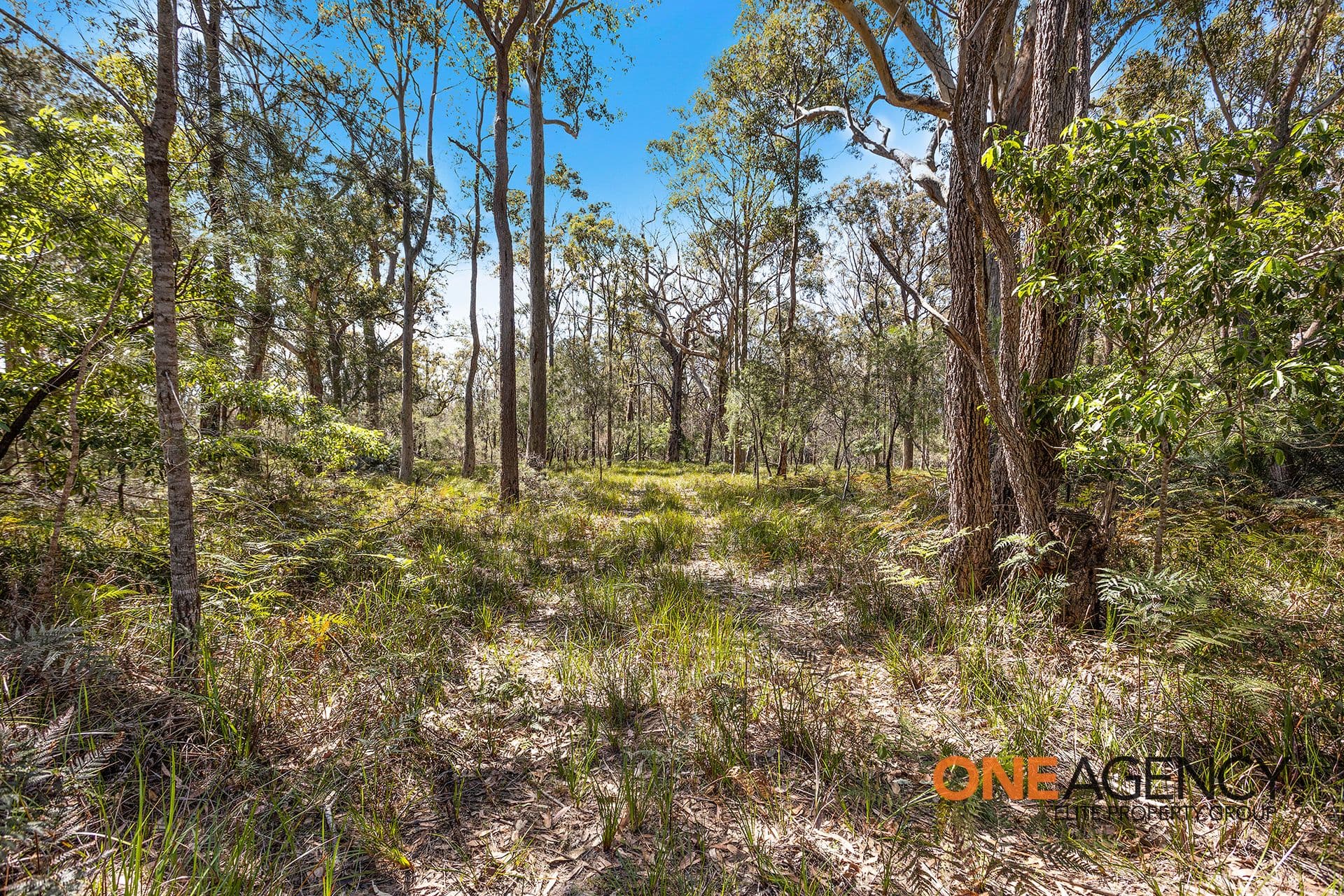 39 Jonsson Road, Yalwal, Yalwal - Thumbnail 6