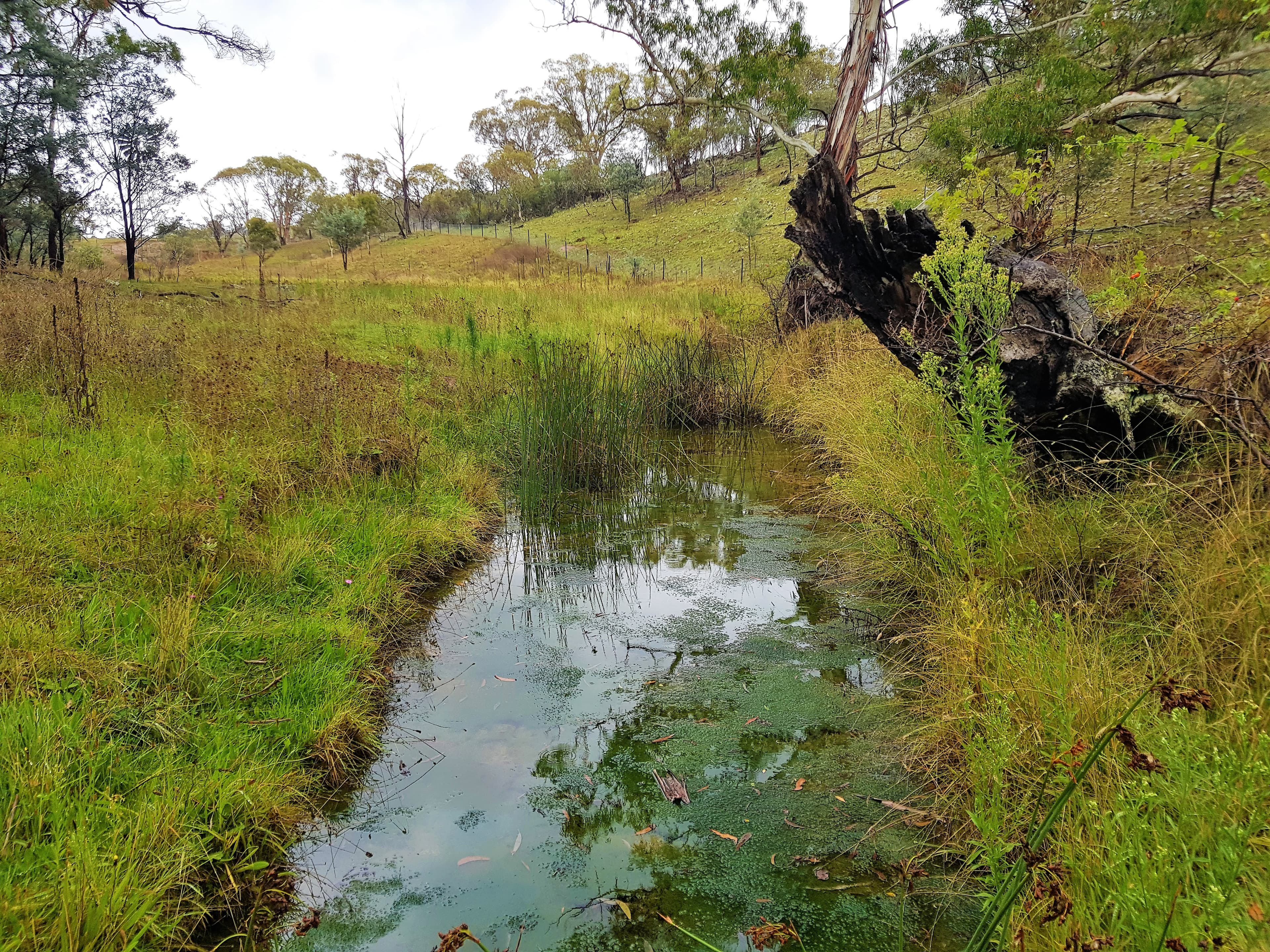 369 Collins Road, Cooma, Cooma - Thumbnail 8