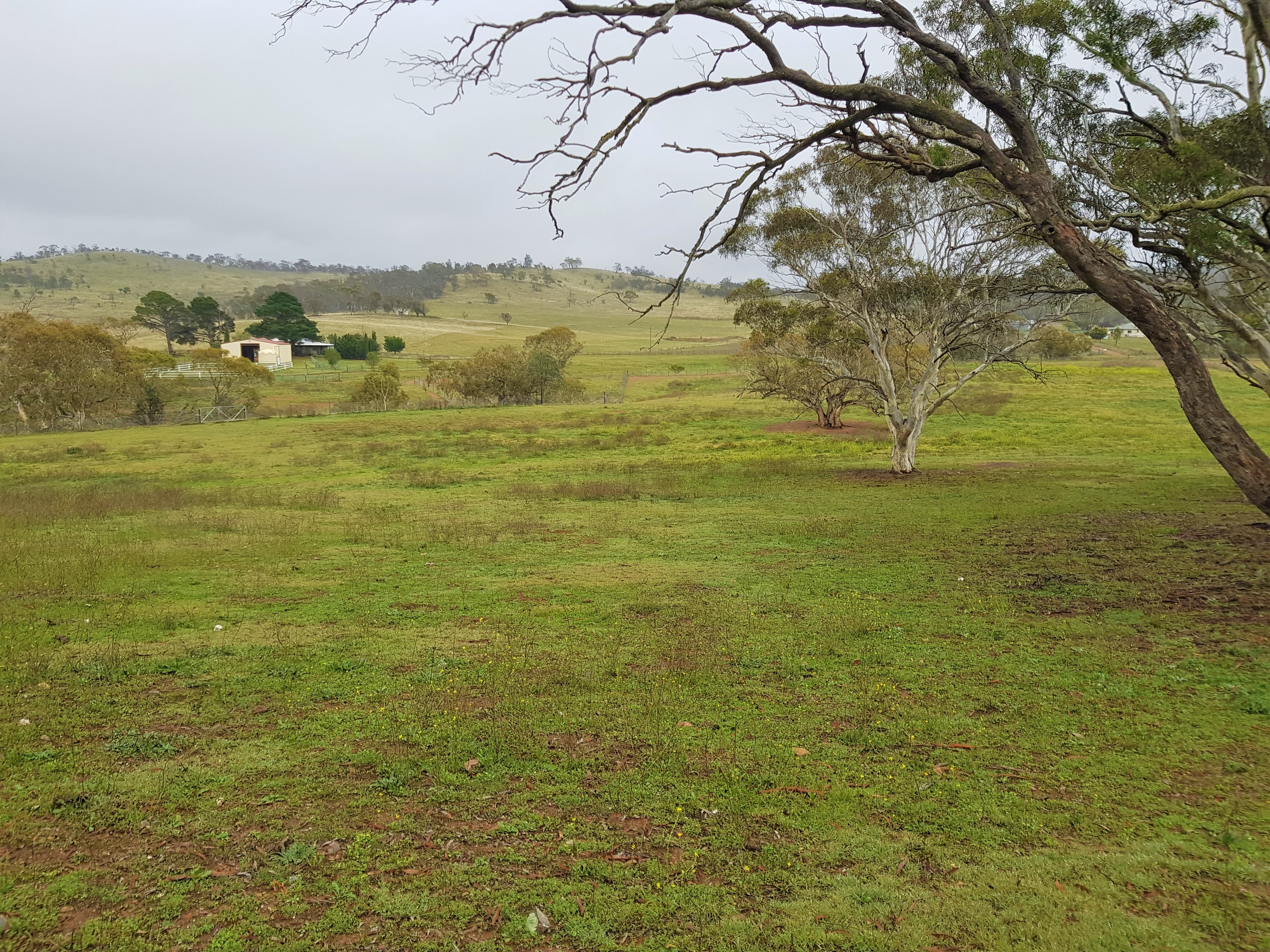369 Collins Road, Cooma, Cooma - Thumbnail 4