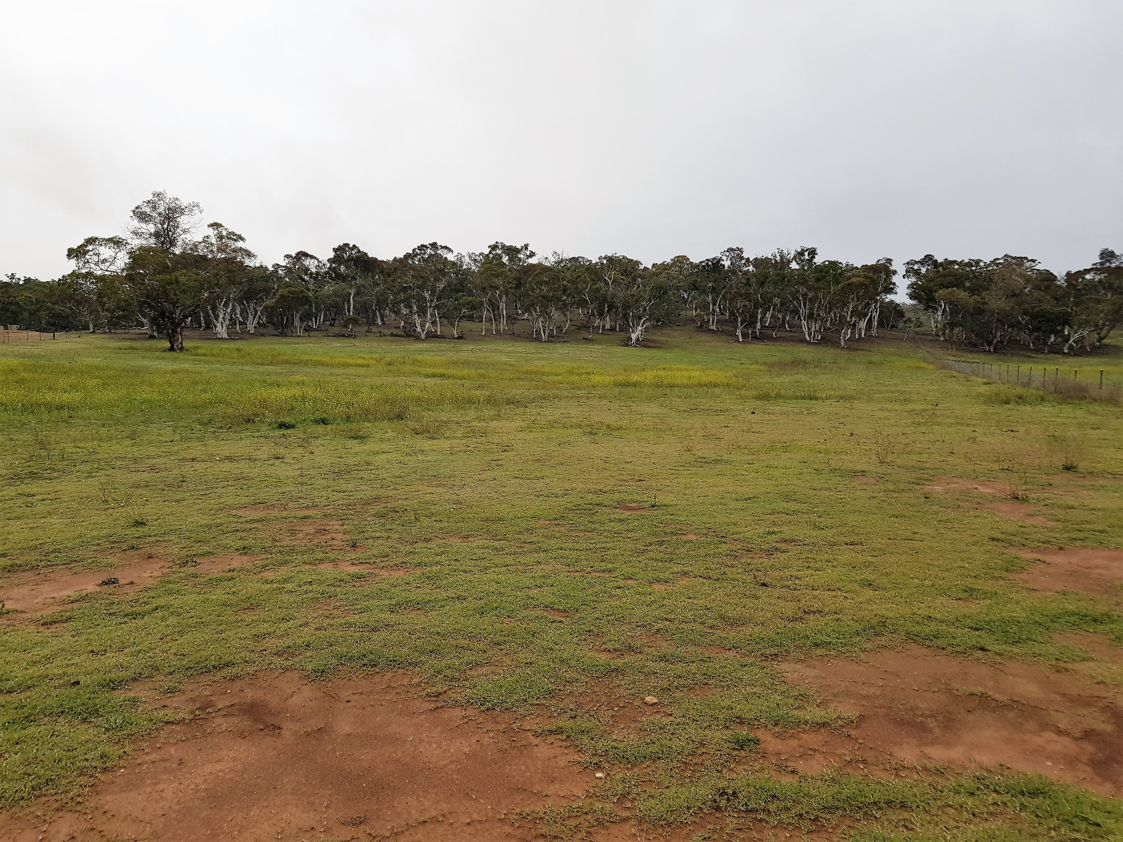 369 Collins Road, Cooma, Cooma - Thumbnail 7