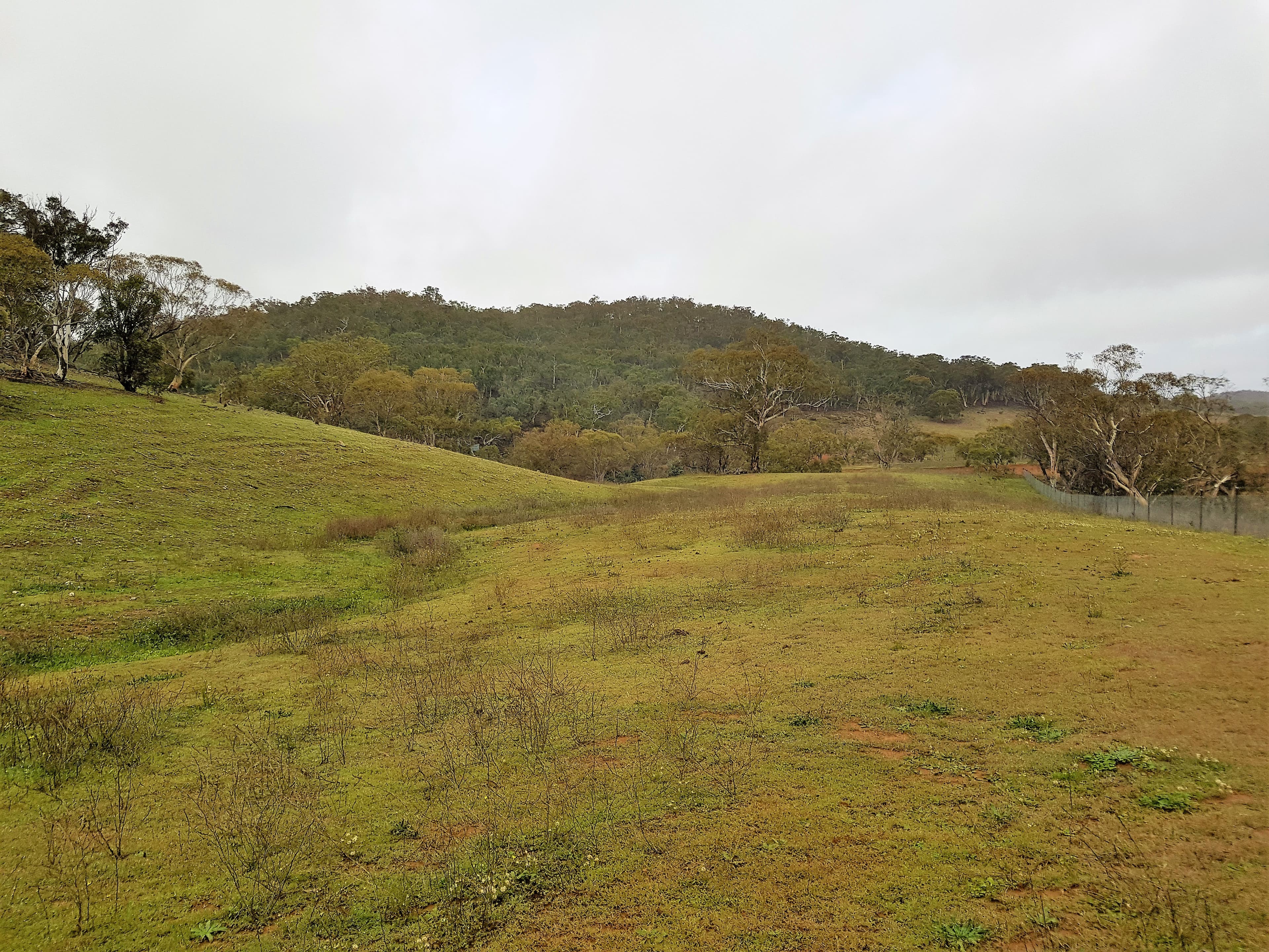 369 Collins Road, Cooma, Cooma - Thumbnail 6