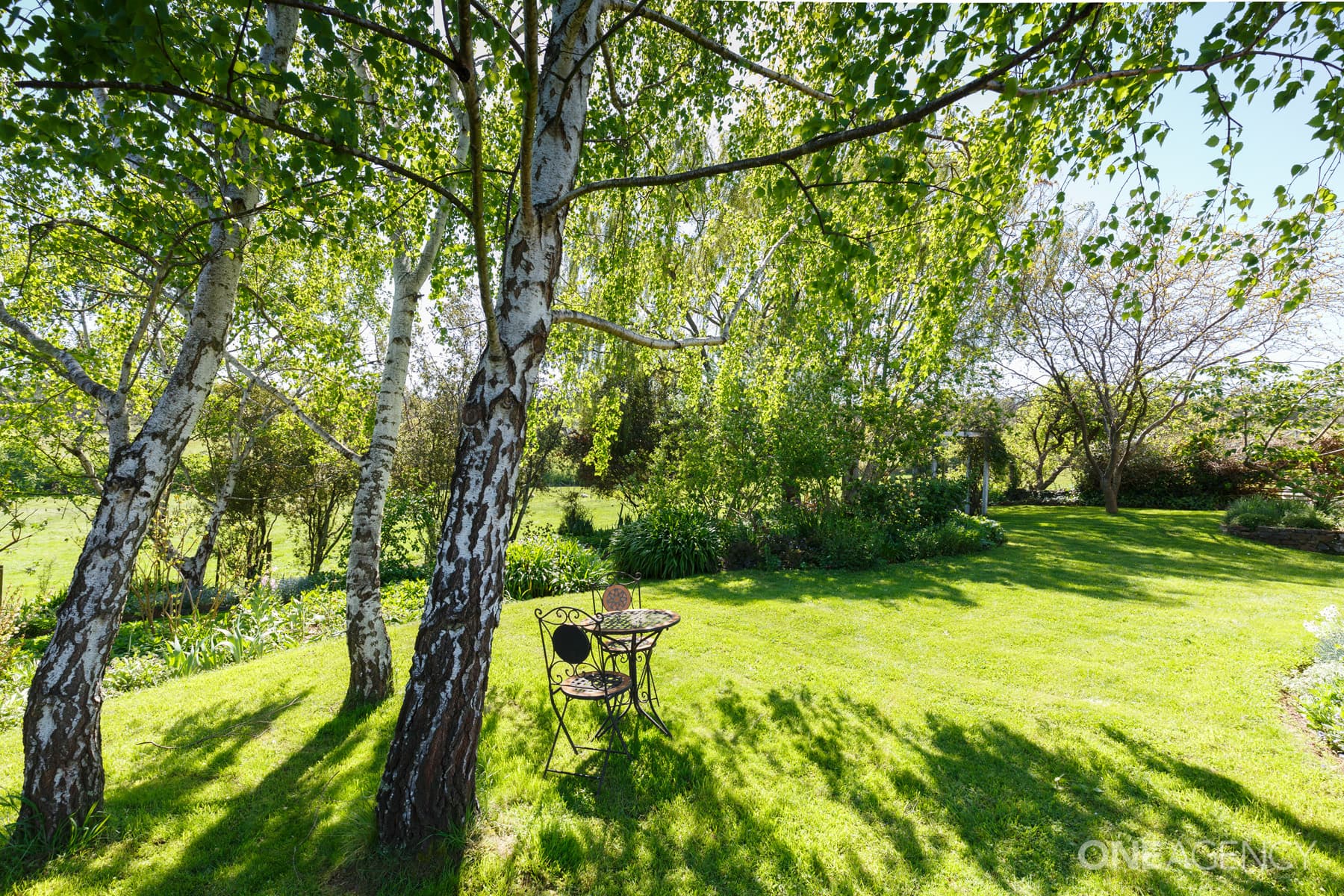 741 Blessington Road, White Hills, White Hills - Thumbnail 7