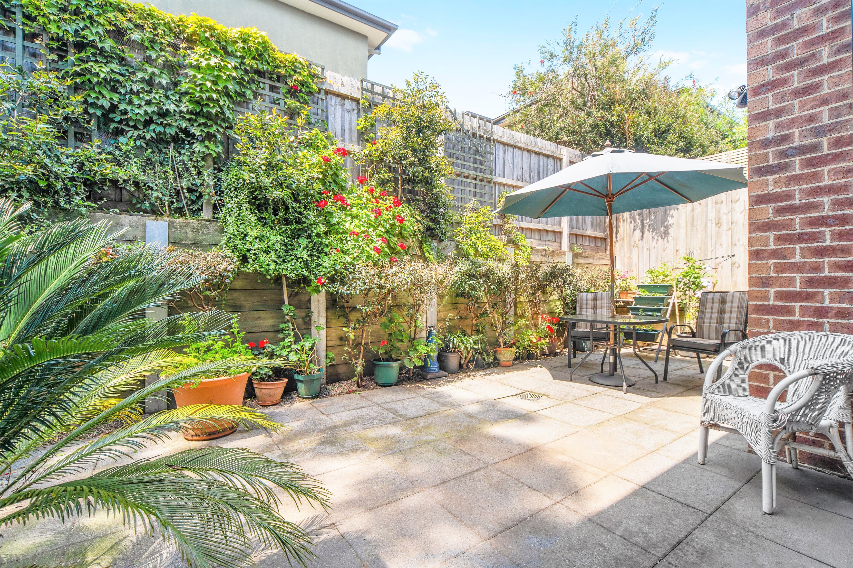 56 Denbigh Street, Frankston, Frankston - Thumbnail 7
