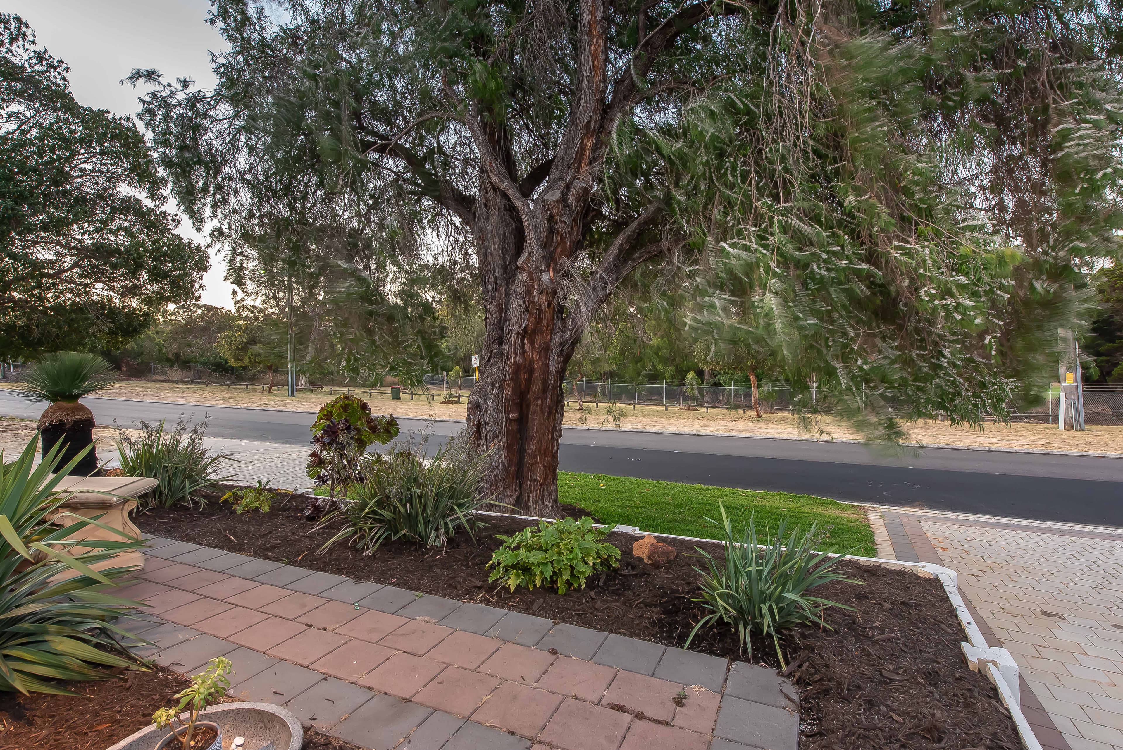 101A Pascoe Street, Karrinyup, Karrinyup - Thumbnail 3