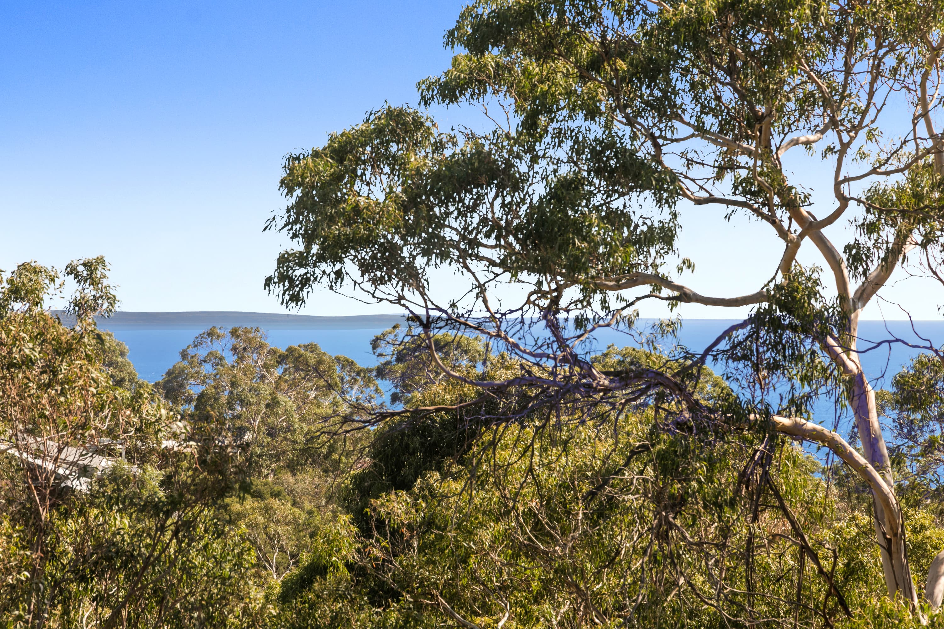 36 Arthurs Avenue, McCrae, Mccrae - Thumbnail 8