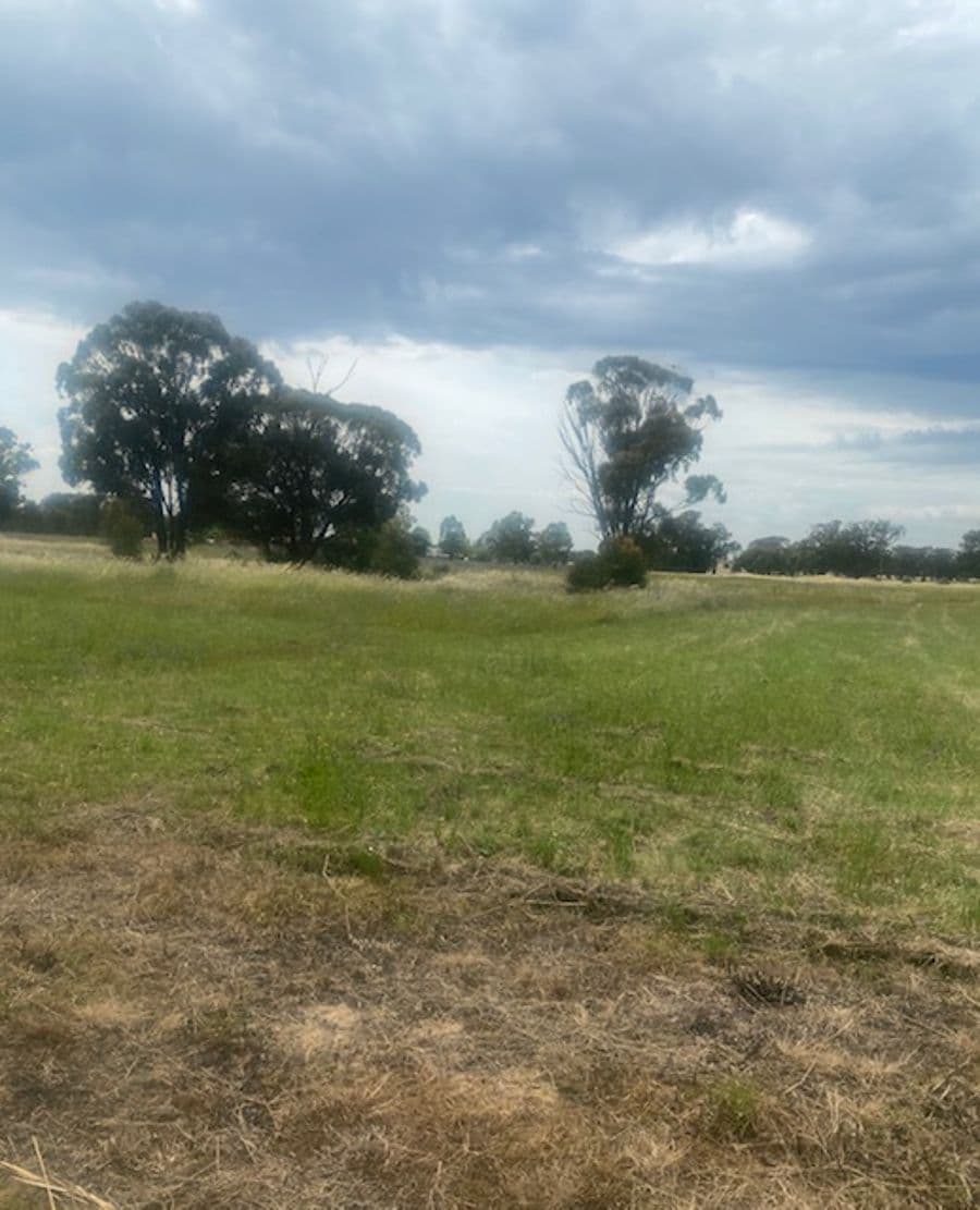 LOT 7 / 2 VICTOR Street, Currawarna, NSW 2650, Currawarna - Thumbnail 2
