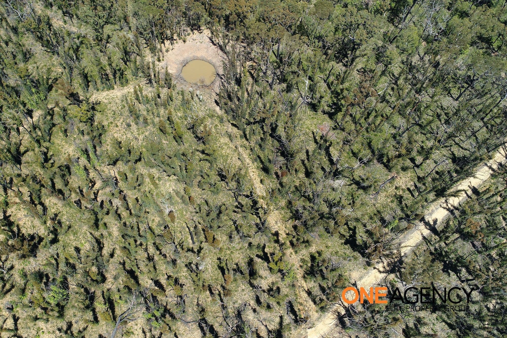 645 Turpentine Road, Tomerong, Tomerong - Thumbnail 5