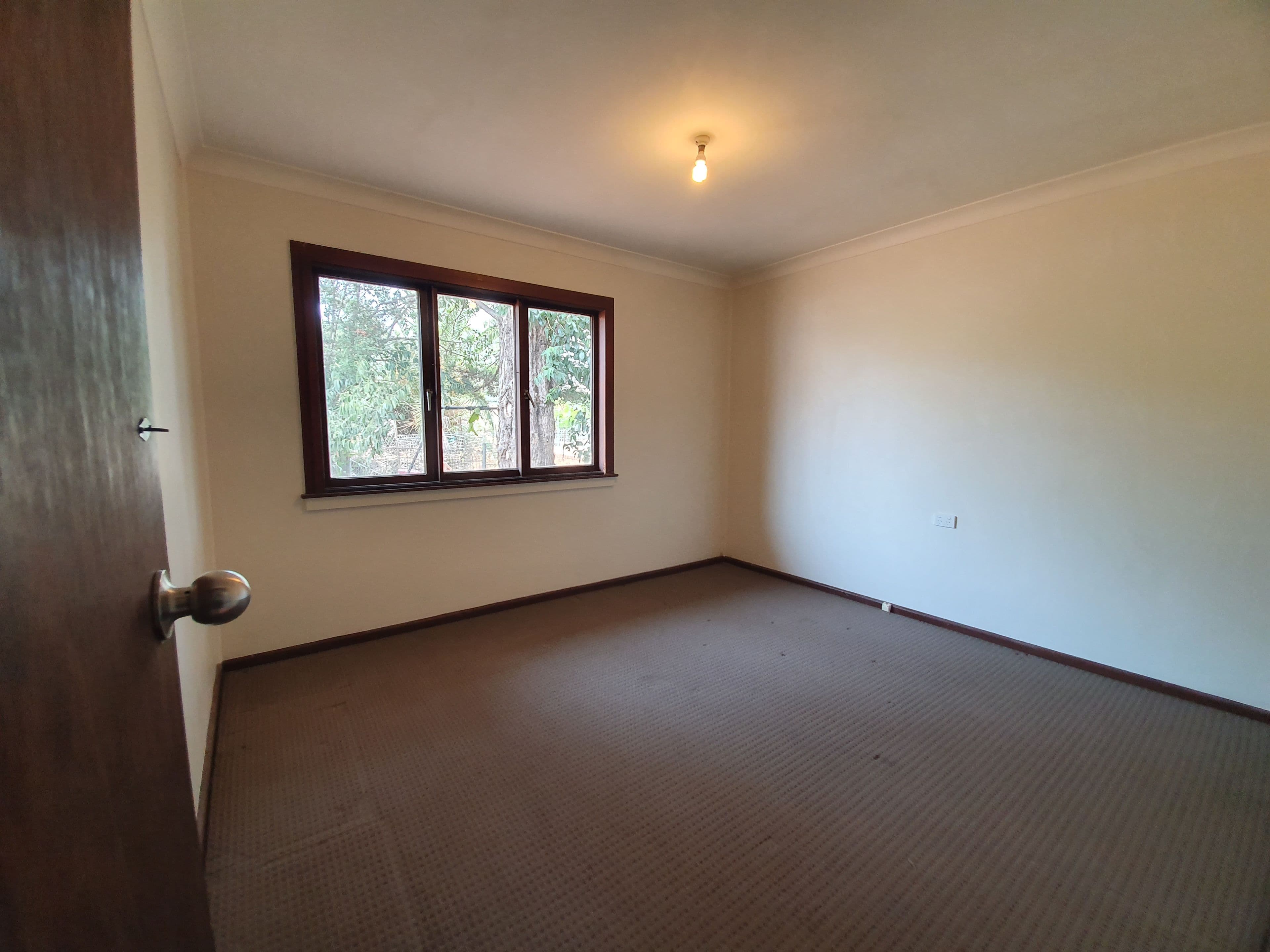 2 Mcguire Avenue, Nowra, Nowra - Thumbnail 5