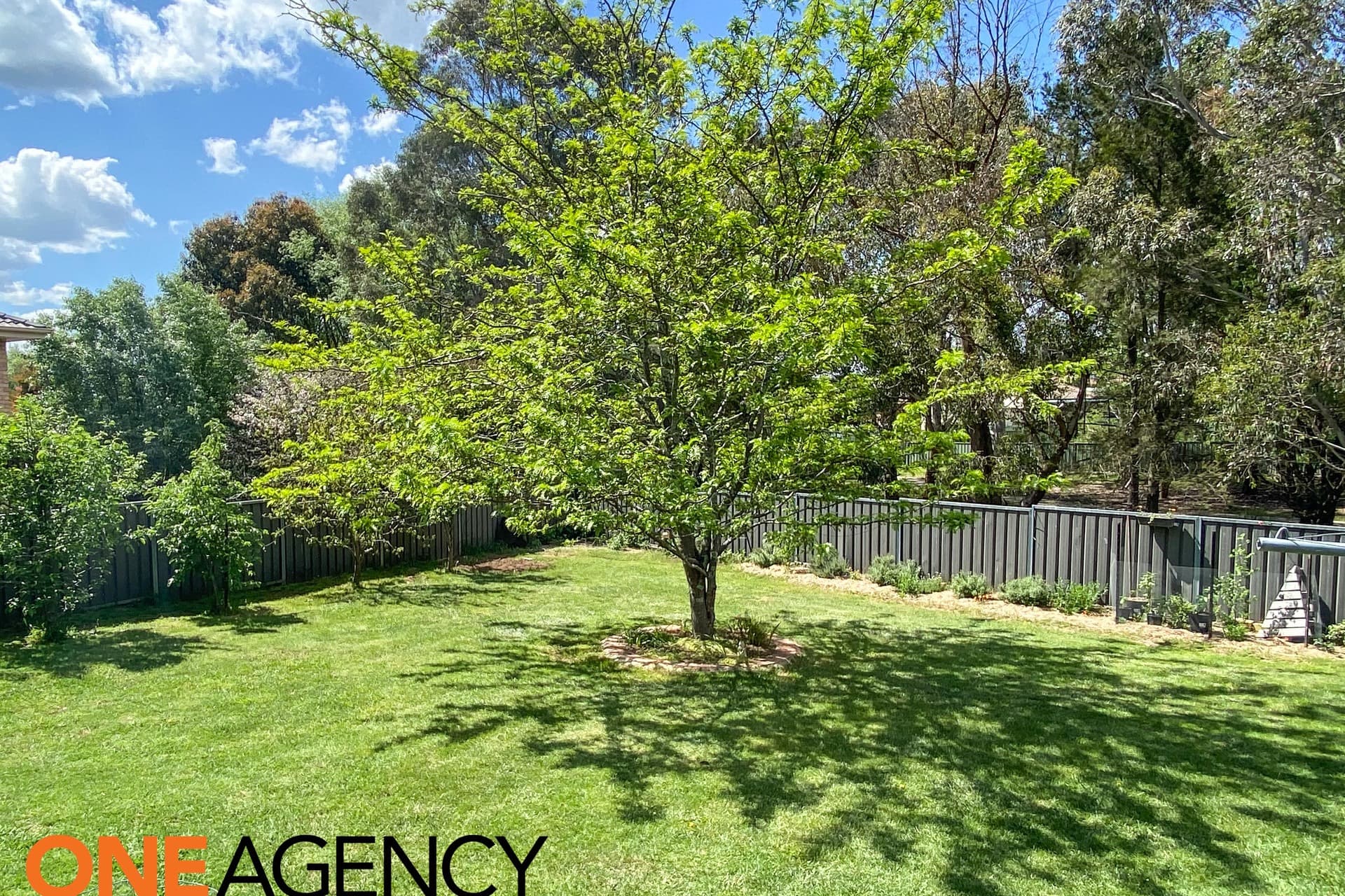 11 Nicole Drive, Orange, Orange - Thumbnail 7