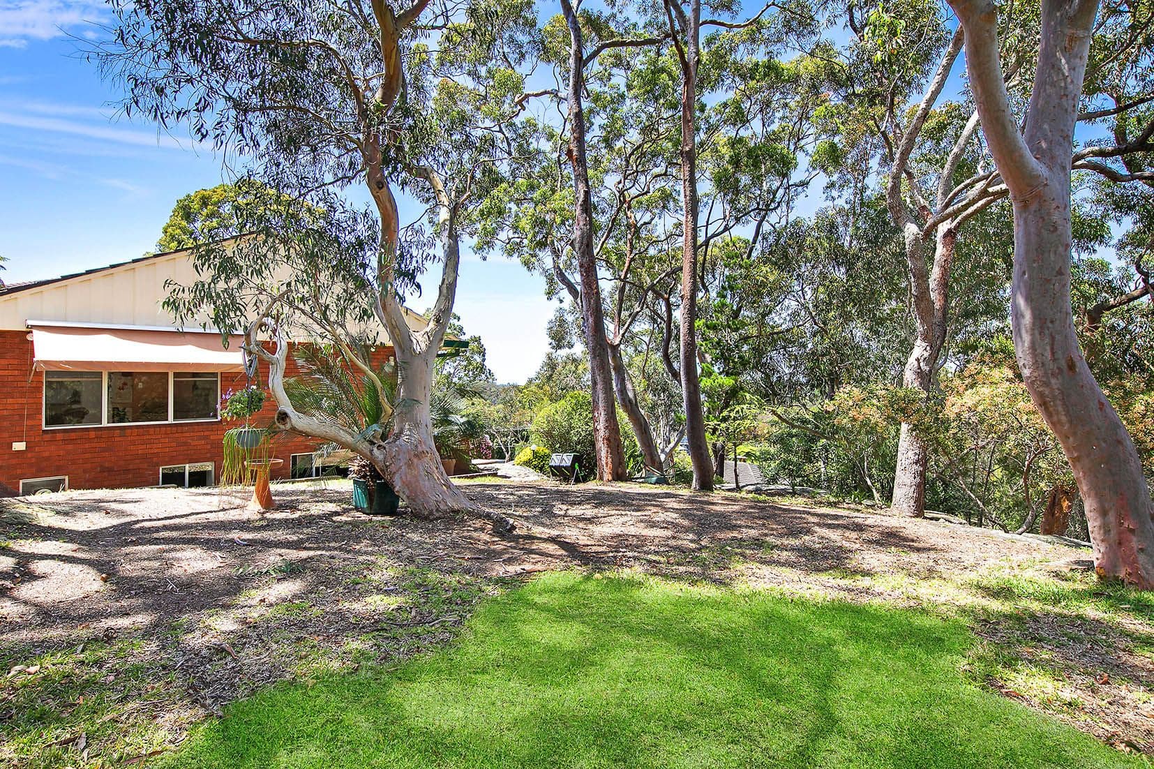 26 Boree Road, Forestville, Forestville - Thumbnail 2