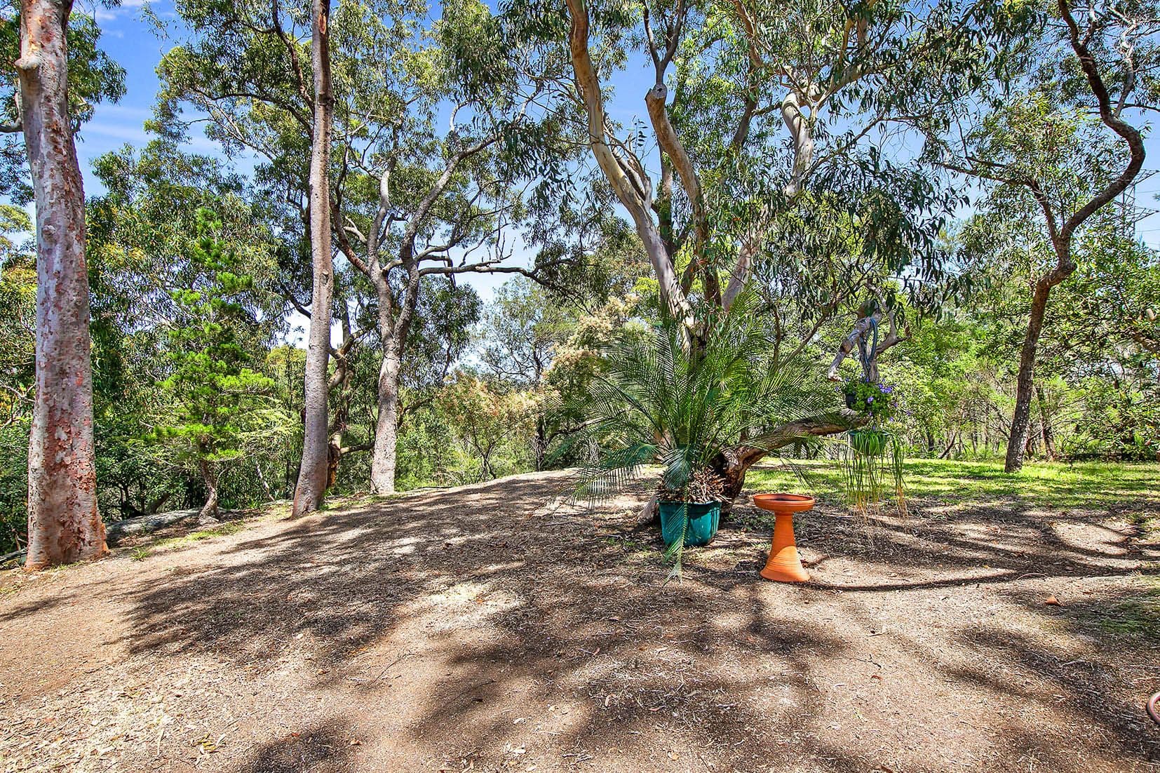 26 Boree Road, Forestville, Forestville - Thumbnail 6