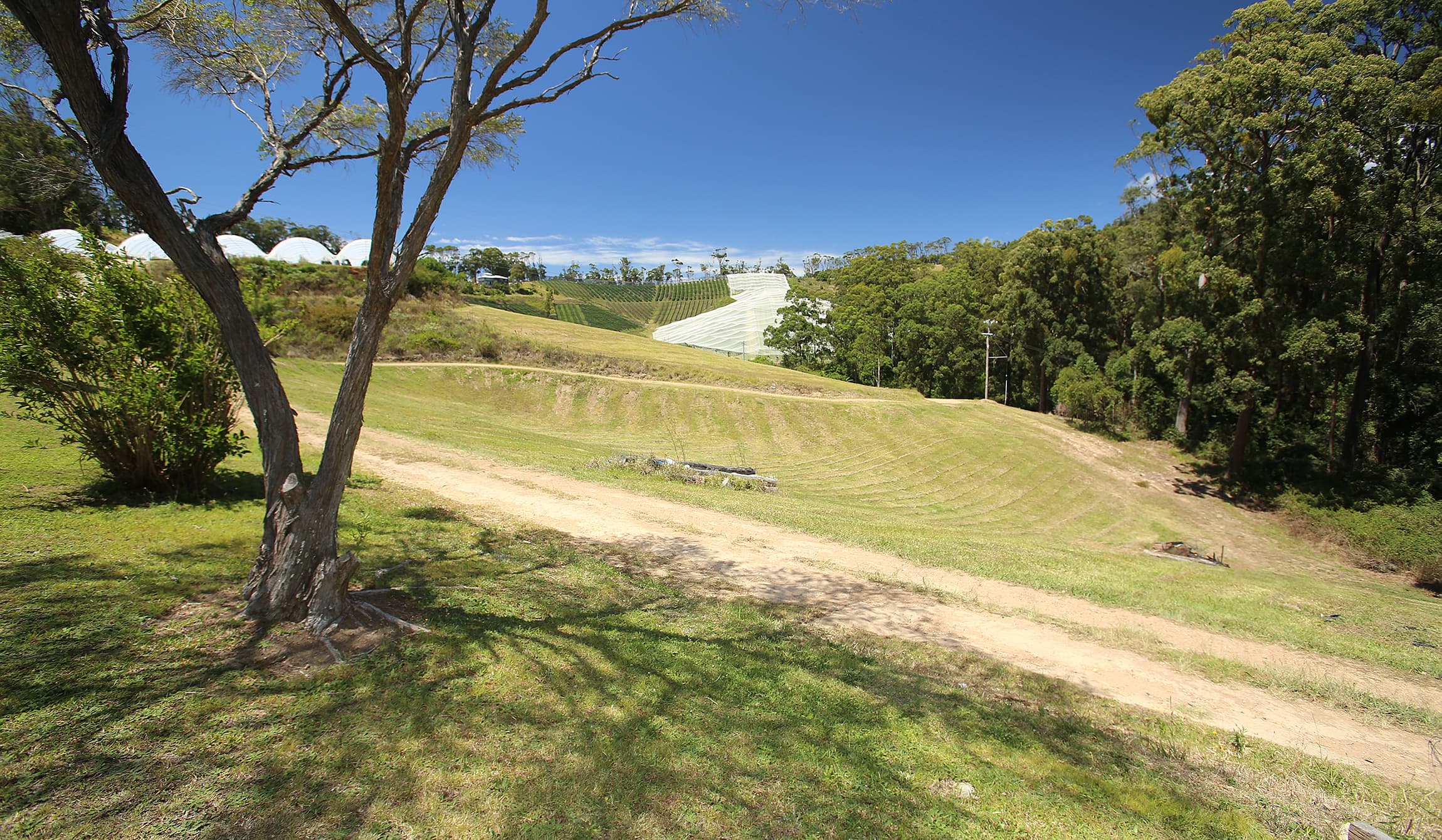 40A Freemans Road, Woolgoolga, Woolgoolga - Thumbnail 7