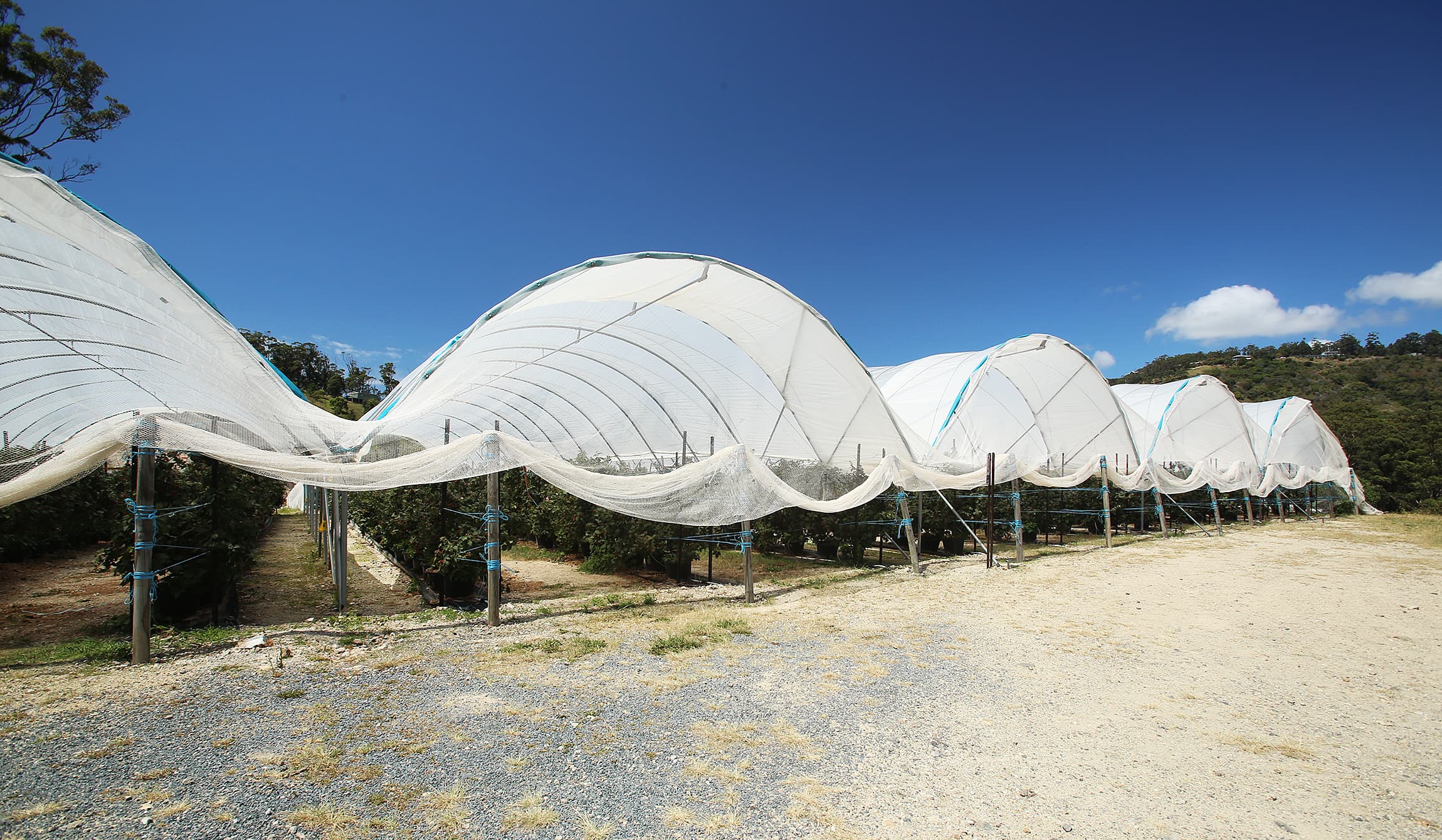 40A Freemans Road, Woolgoolga, Woolgoolga - Thumbnail 3