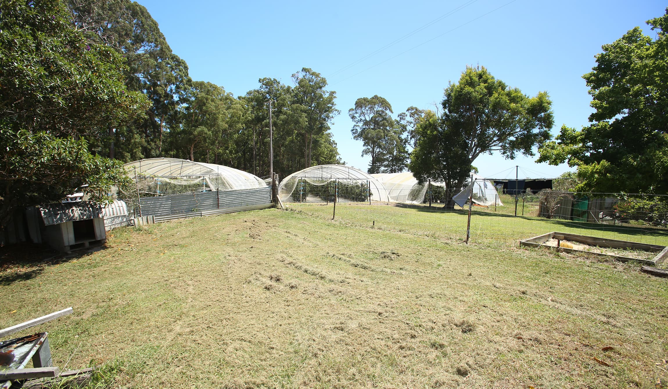 40A Freemans Road, Woolgoolga, Woolgoolga - Thumbnail 8