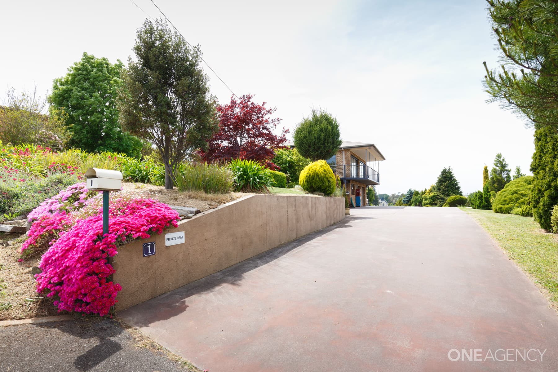 1 Panorama Place, Deloraine, Deloraine - Thumbnail 4
