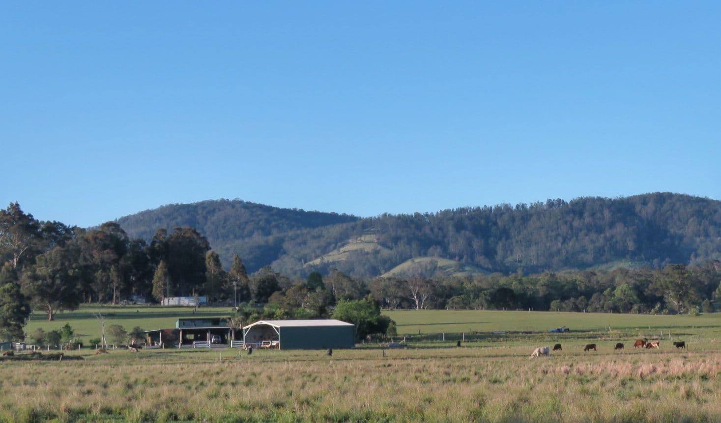 3267 Wallanbah Road, Dyers Crossing, Dyers Crossing - Thumbnail 3