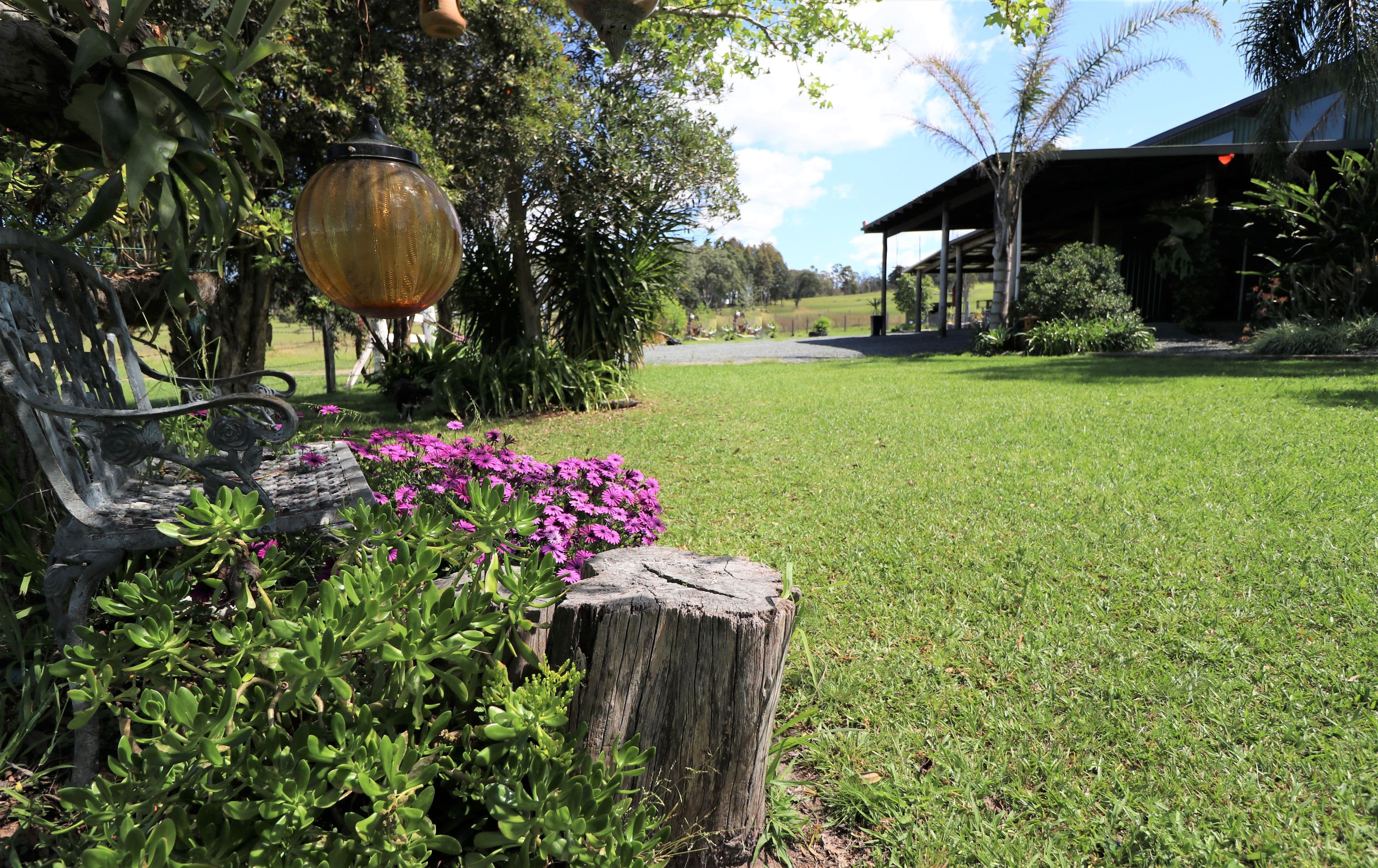 3267 Wallanbah Road, Dyers Crossing, Dyers Crossing - Thumbnail 5