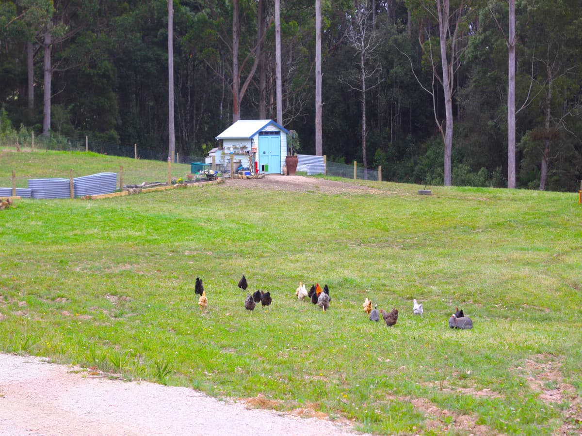 32 Twin Creeks Road, Mengha, Mengha - Thumbnail 4