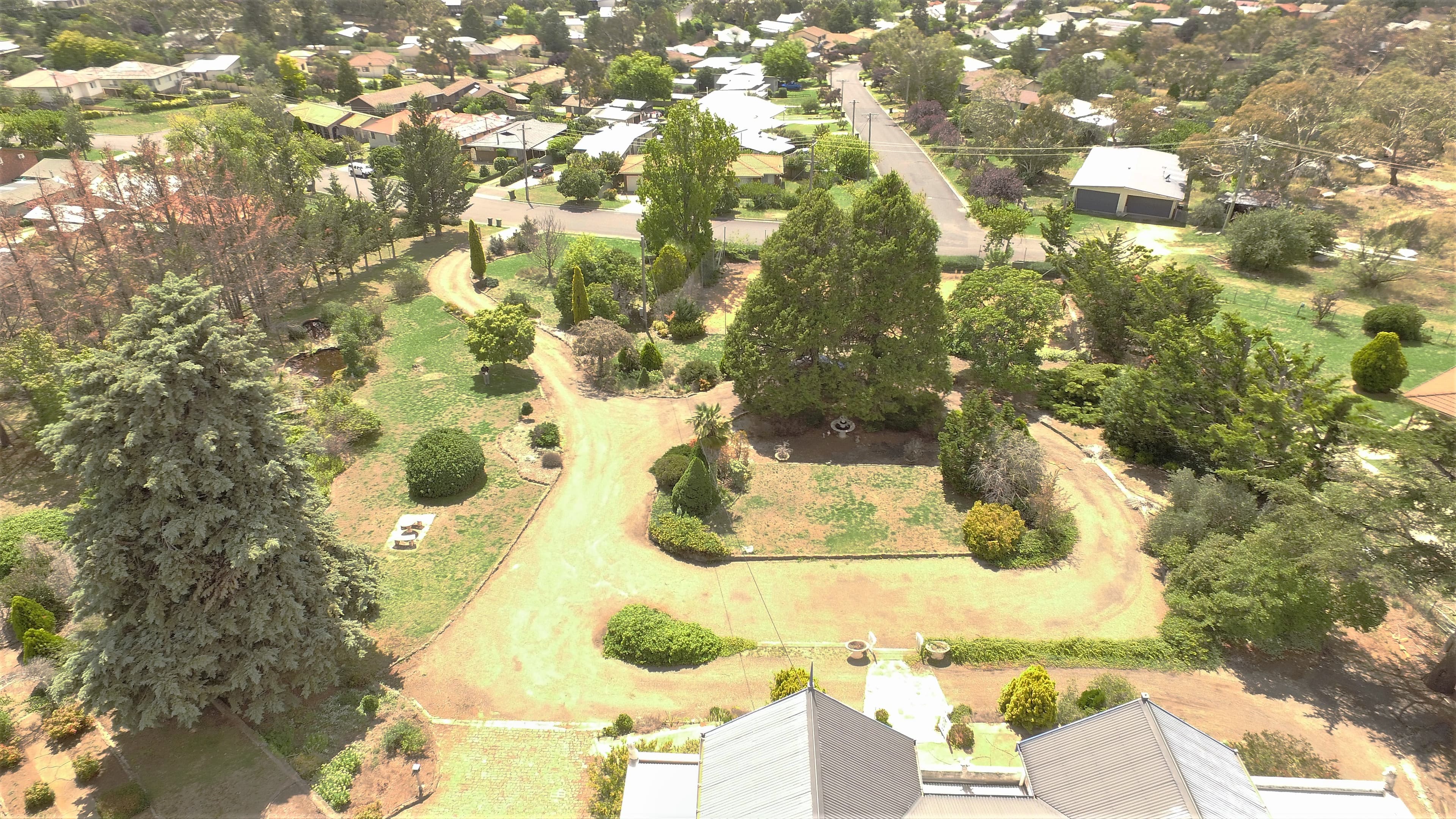 15 McDonald Avenue, Cooma, Cooma - Thumbnail 4