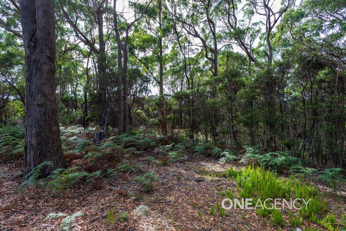 80 Allegra Drive, Heybridge, Heybridge - Thumbnail 5