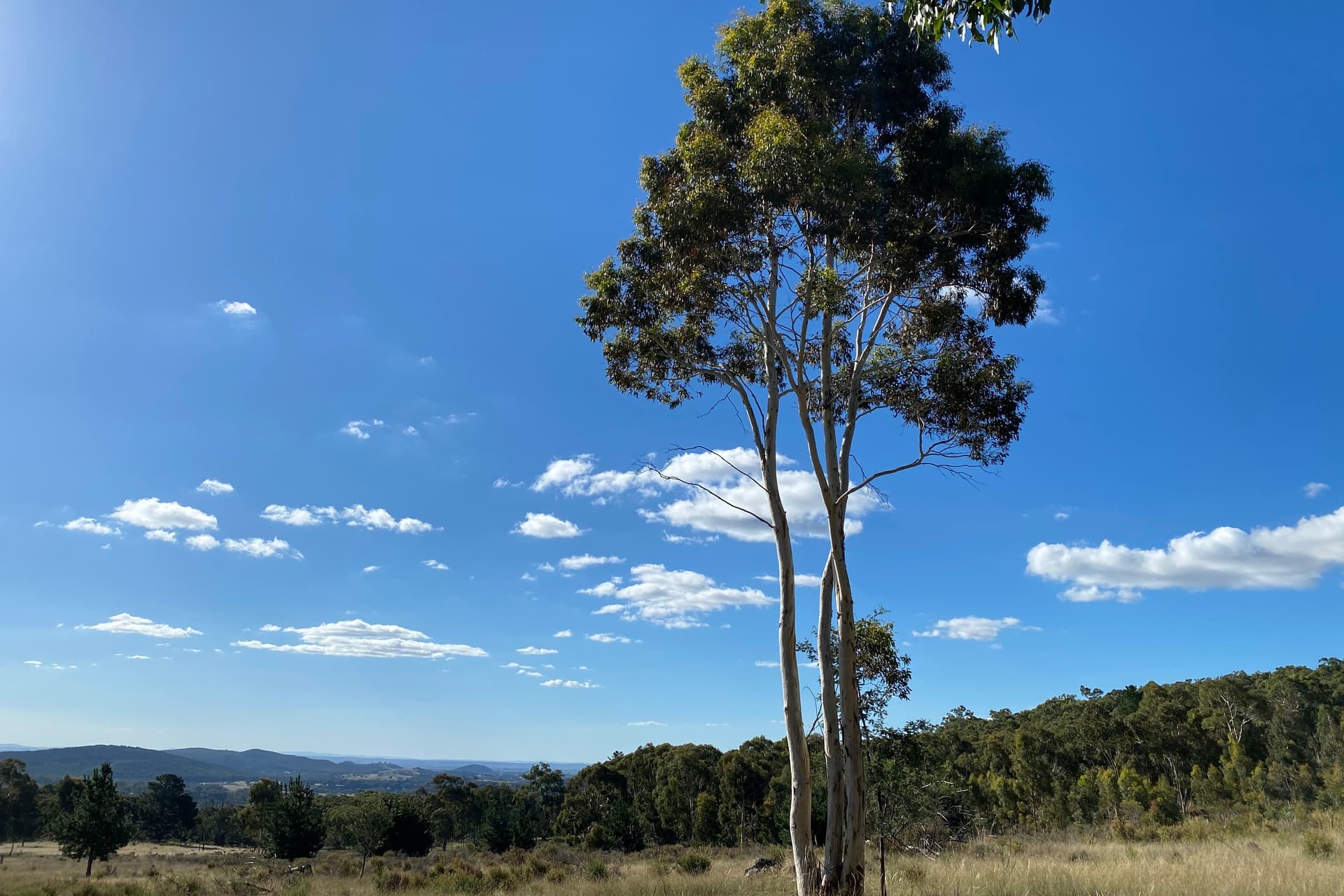 341 Archer Road, Orange, Orange - Thumbnail 3