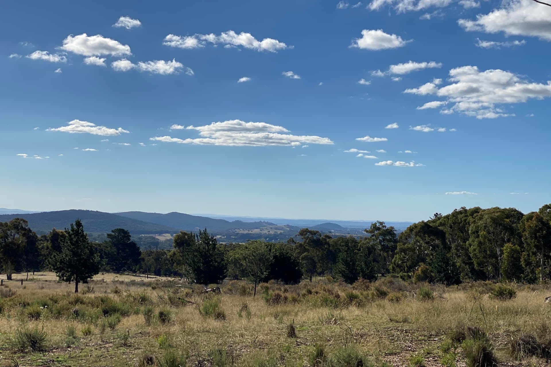 341 Archer Road, Orange, Orange - Image 1