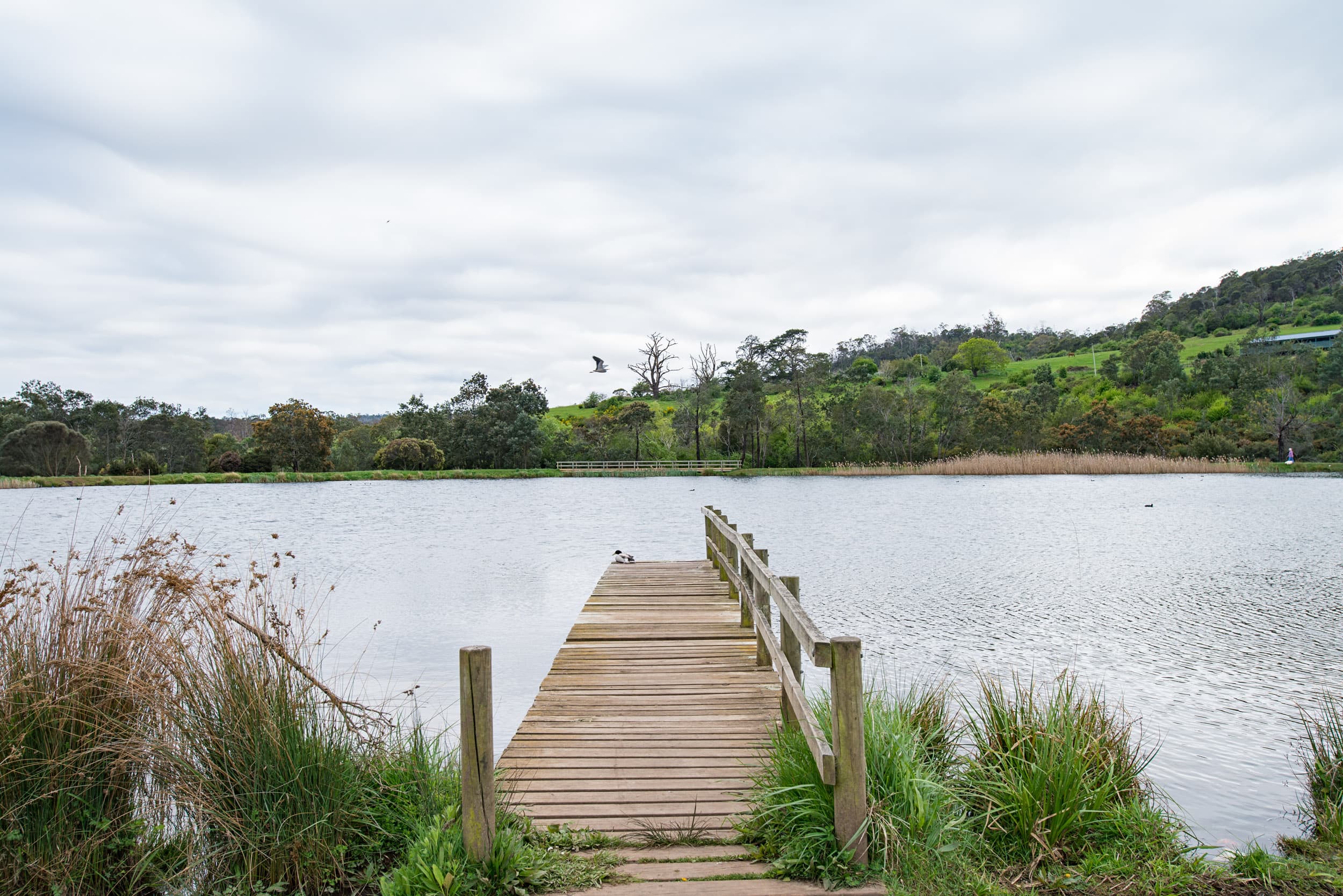 33 Naroo Street, Waverley, Waverley - Thumbnail 7