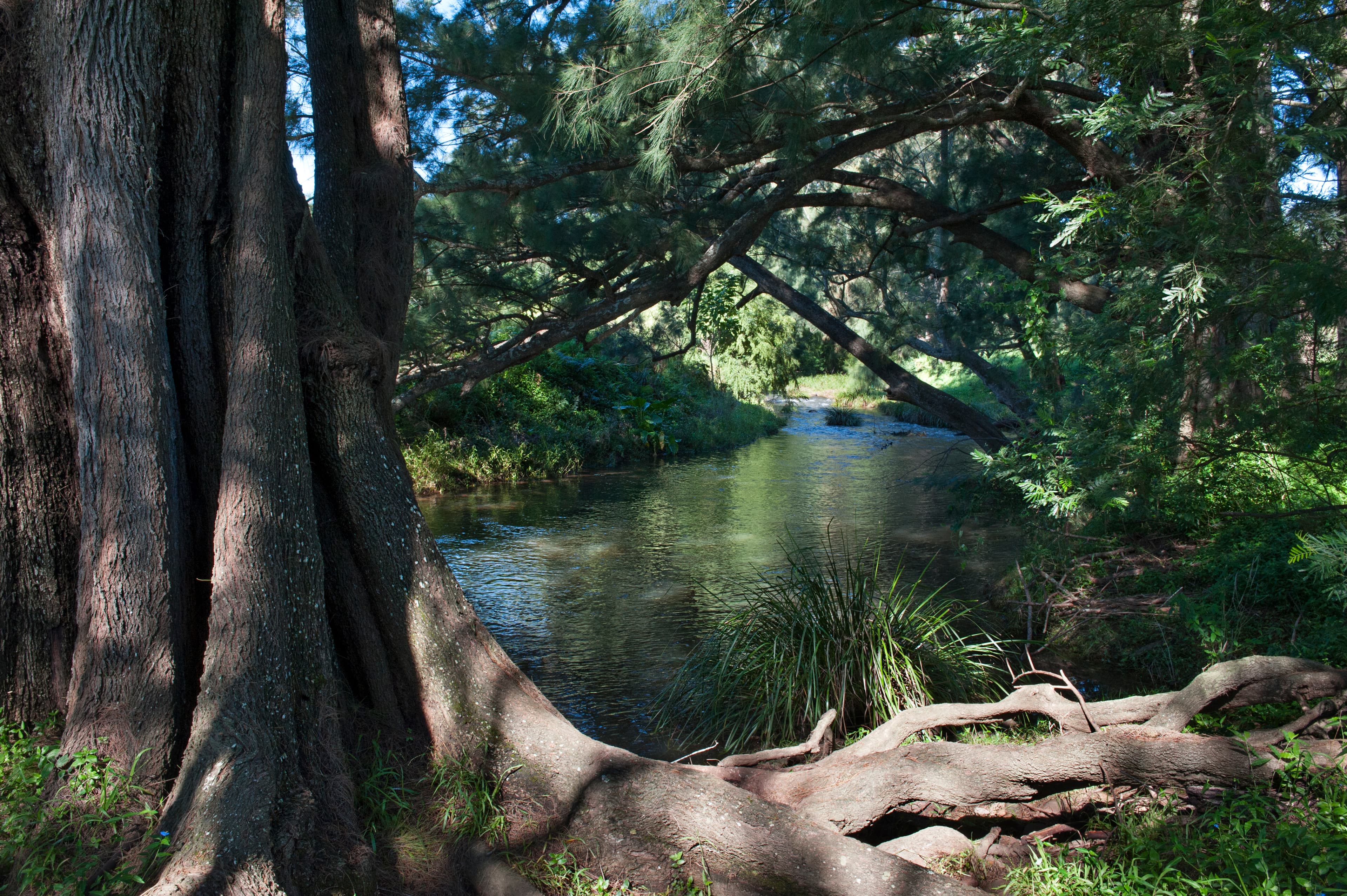 1540 Moss Vale Road, Kangaroo Valley, Kangaroo Valley - Thumbnail 5